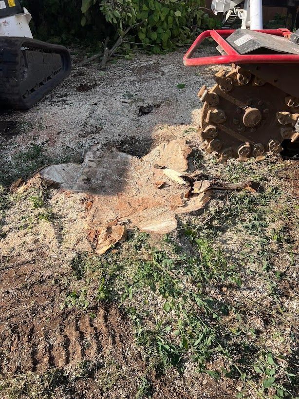 A stump is being removed from the ground by a machine.