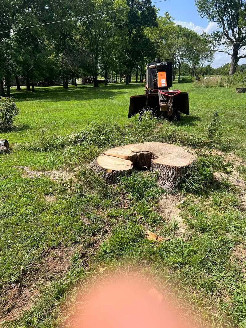 A tractor is cutting down a tree stump in a grassy field.