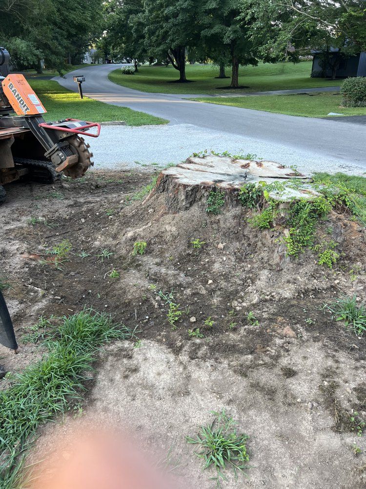 A stump is sitting in the middle of a dirt field next to a road.