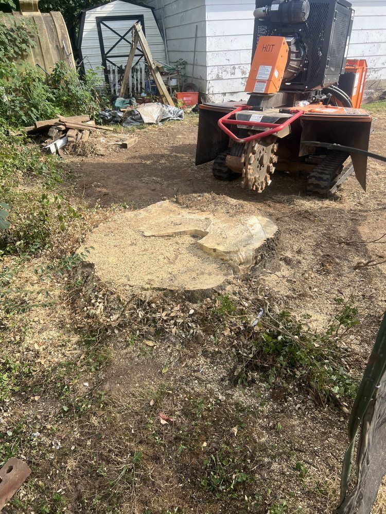 A stump grinder is sitting next to a tree stump in a yard.