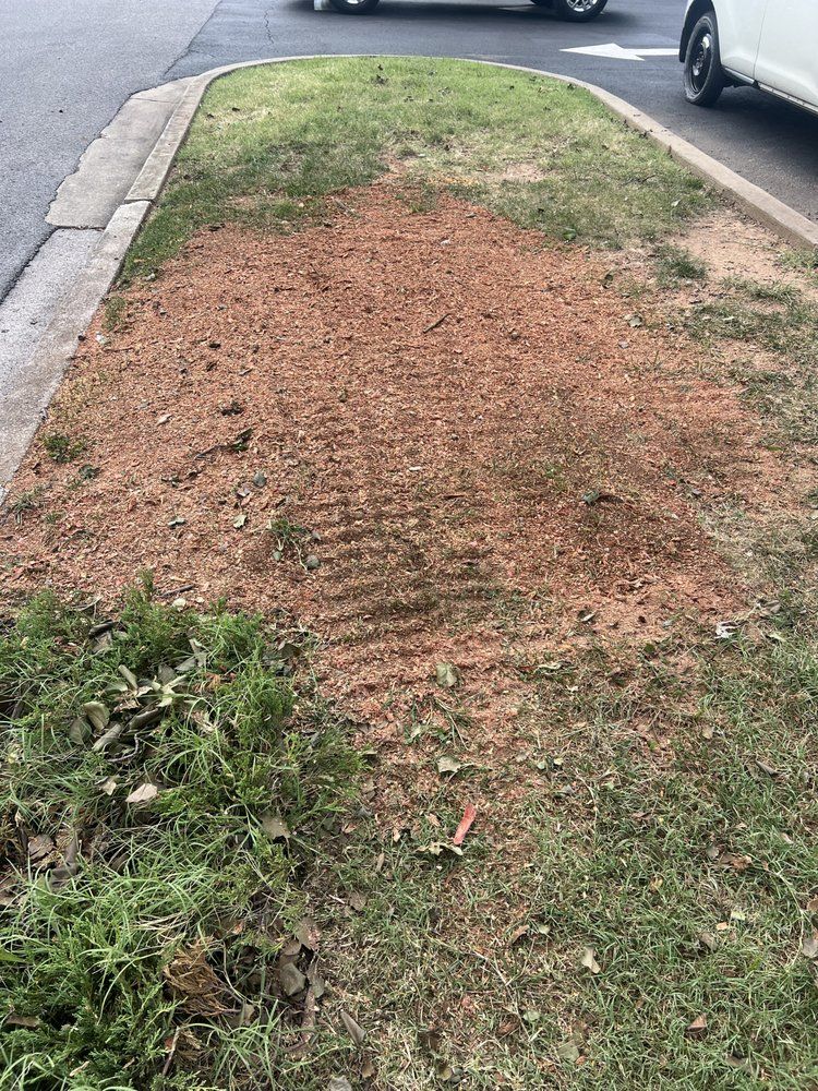 A white car is parked on the side of the road next to a grassy area.