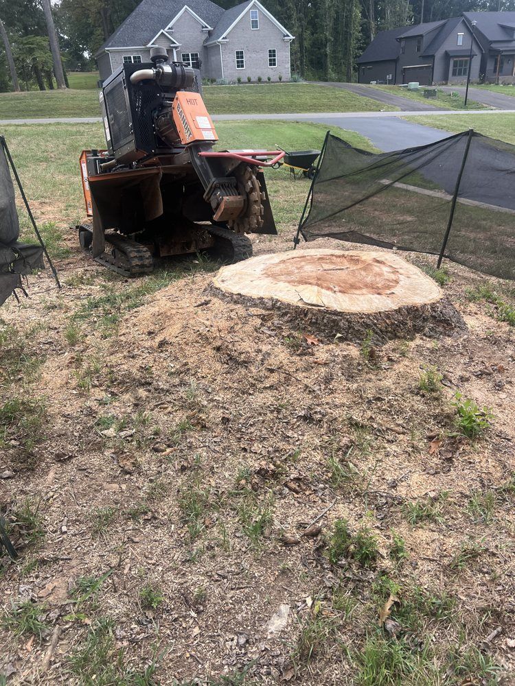 A stump grinder is sitting next to a large tree stump.