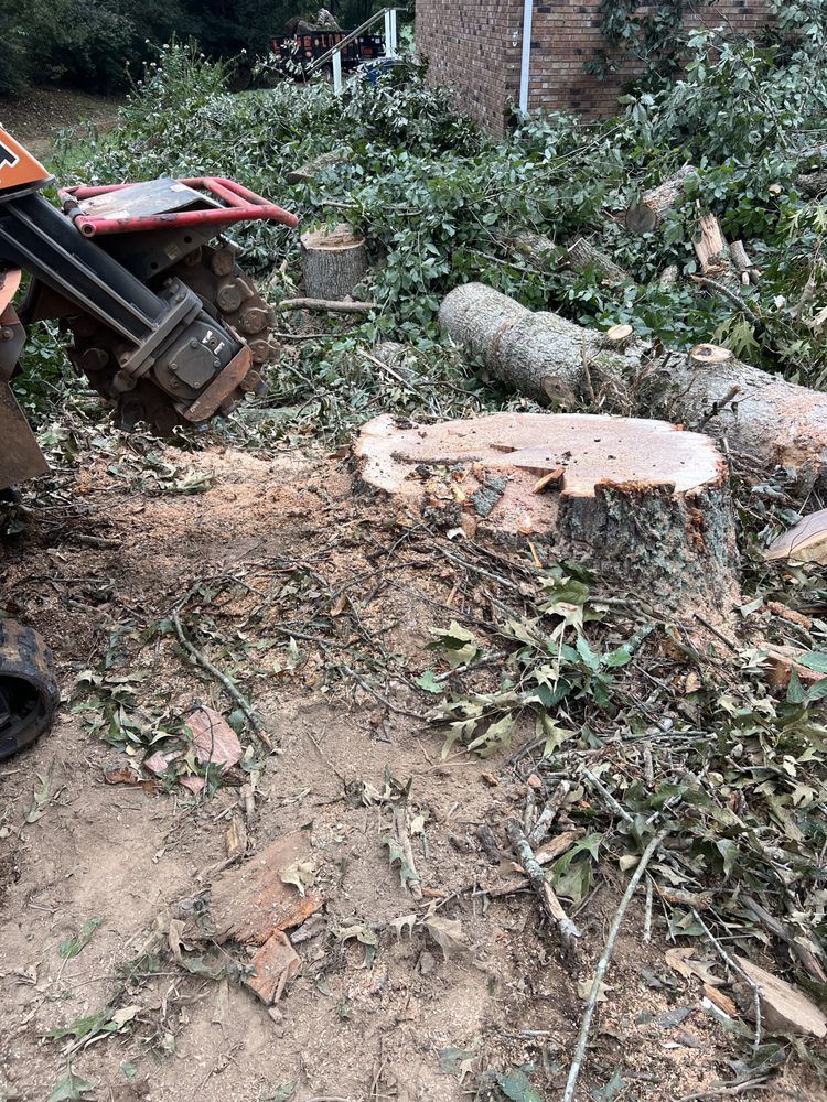 A stump grinder is cutting a tree stump in a yard.