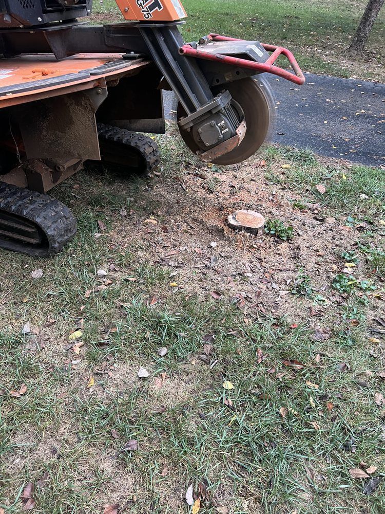 A stump grinder is cutting a tree stump in the grass.