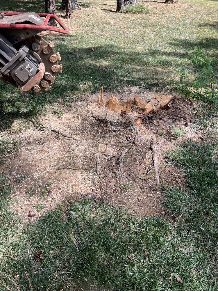 A stump grinder is cutting a tree stump in the grass.