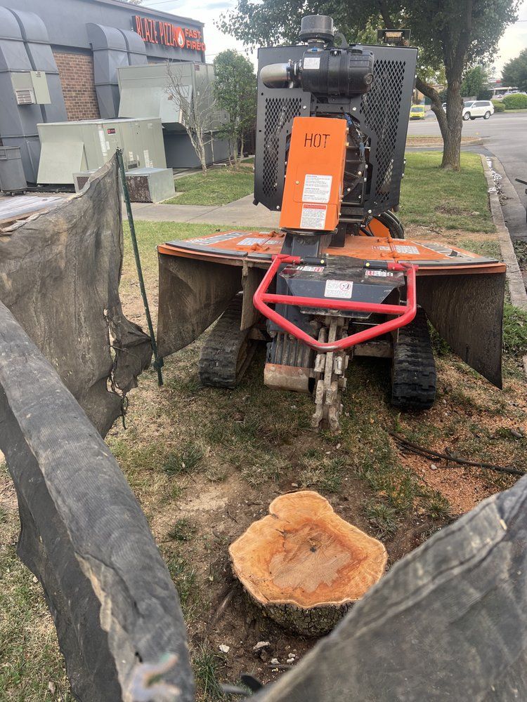 A stump grinder is sitting next to a tree stump.