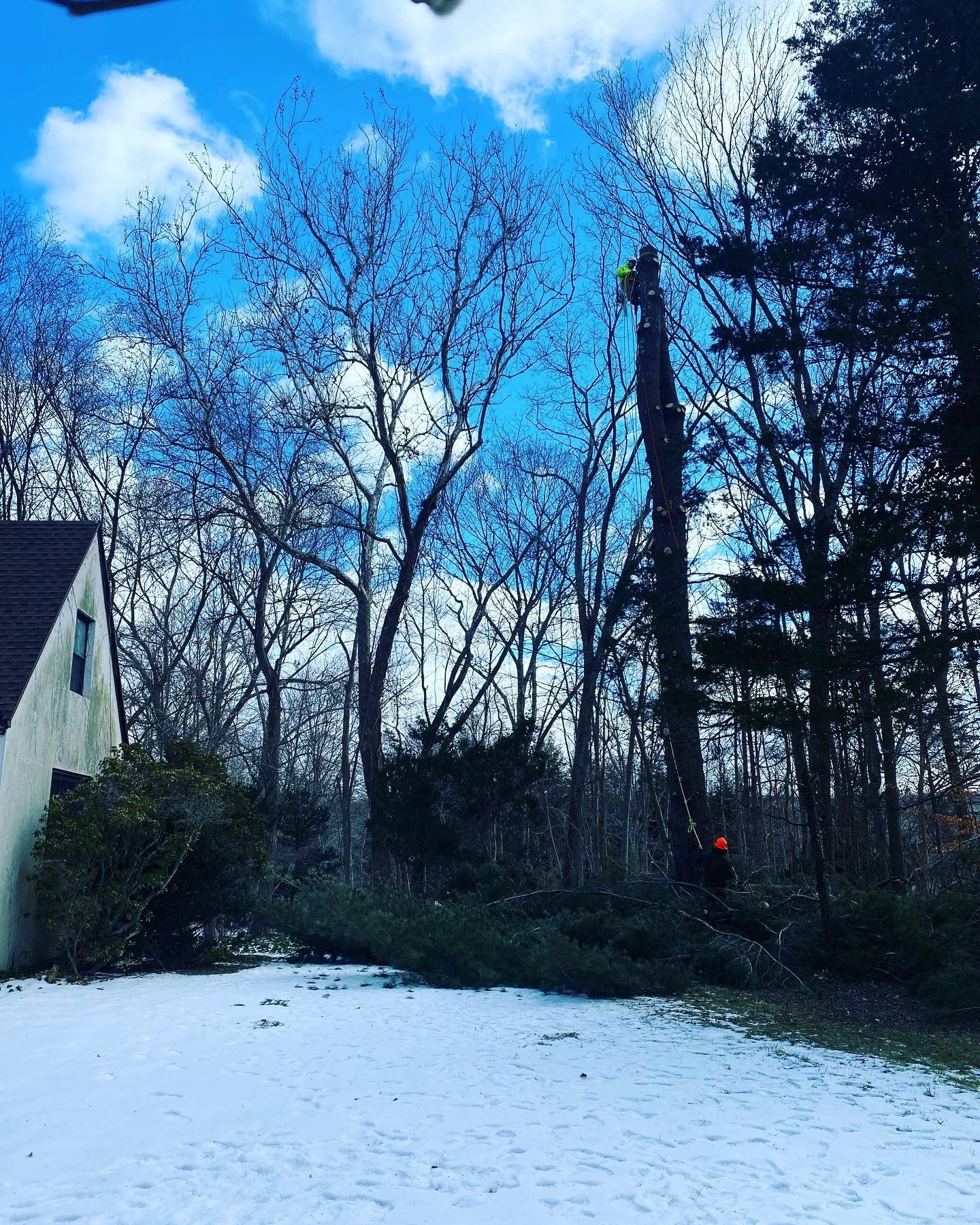 A tree is being cut down in the snow in front of a house