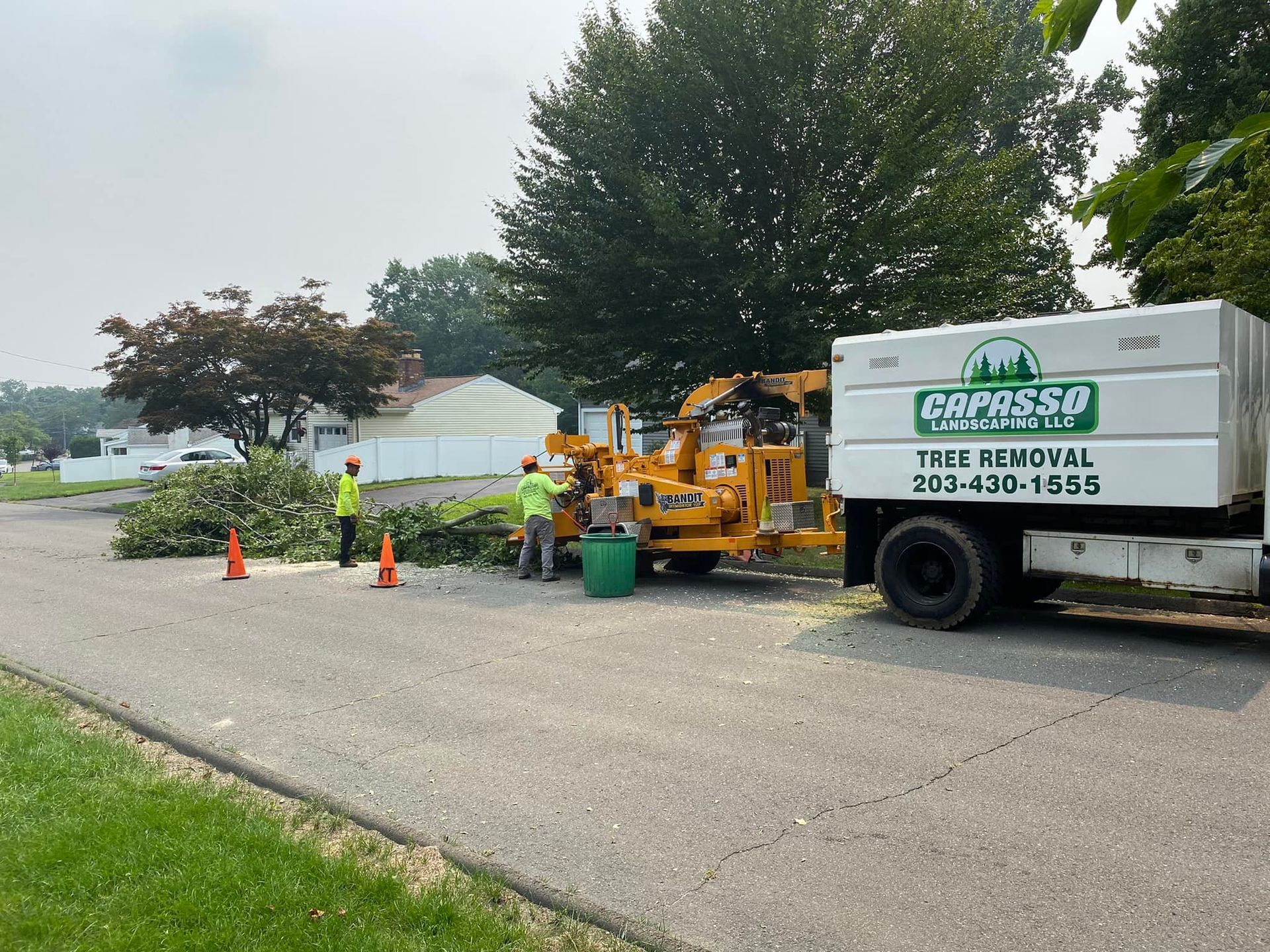 A tree chipper is being used to remove trees from a driveway.