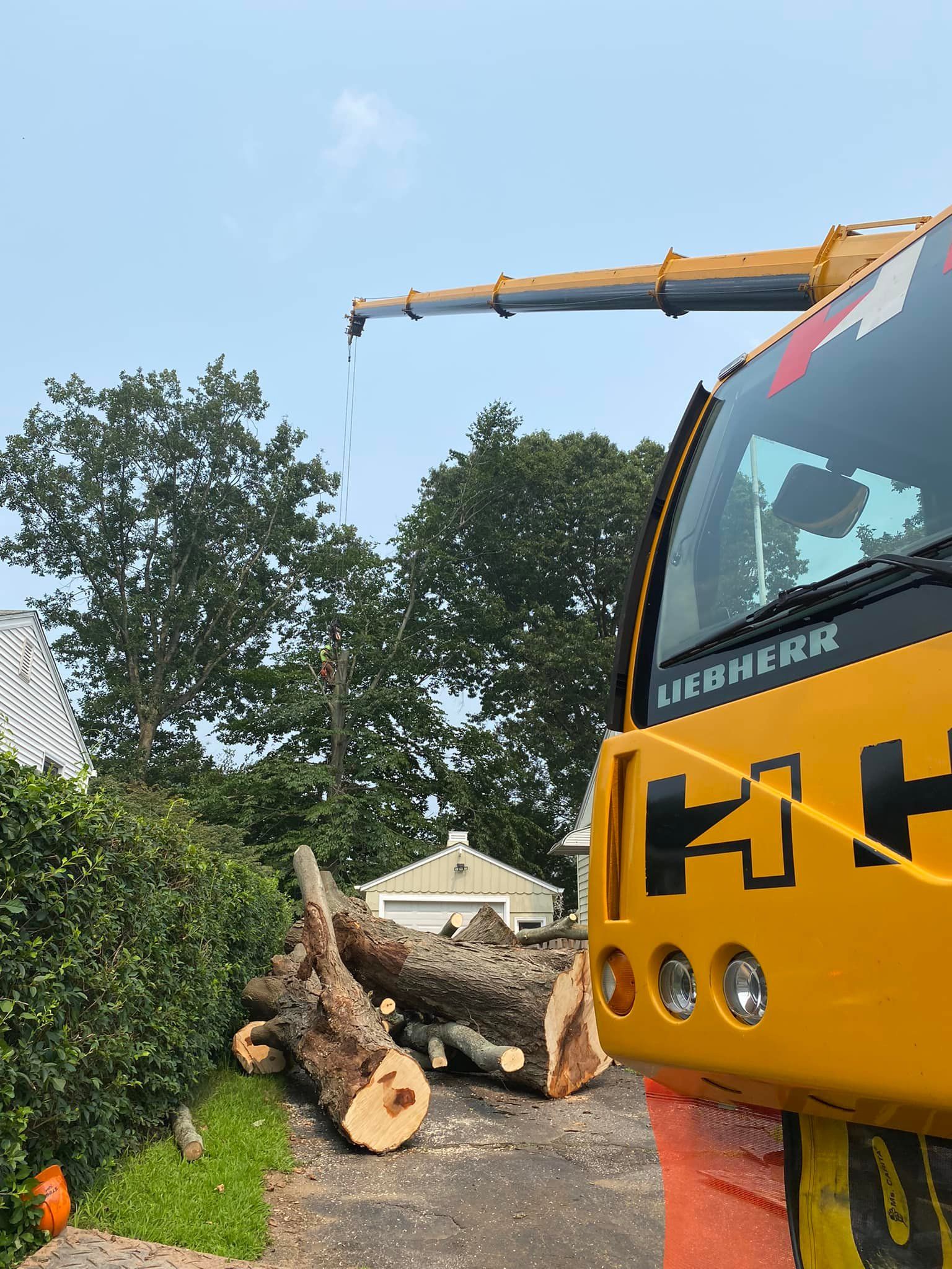 A yellow truck with a crane attached to it is parked next to a pile of logs.