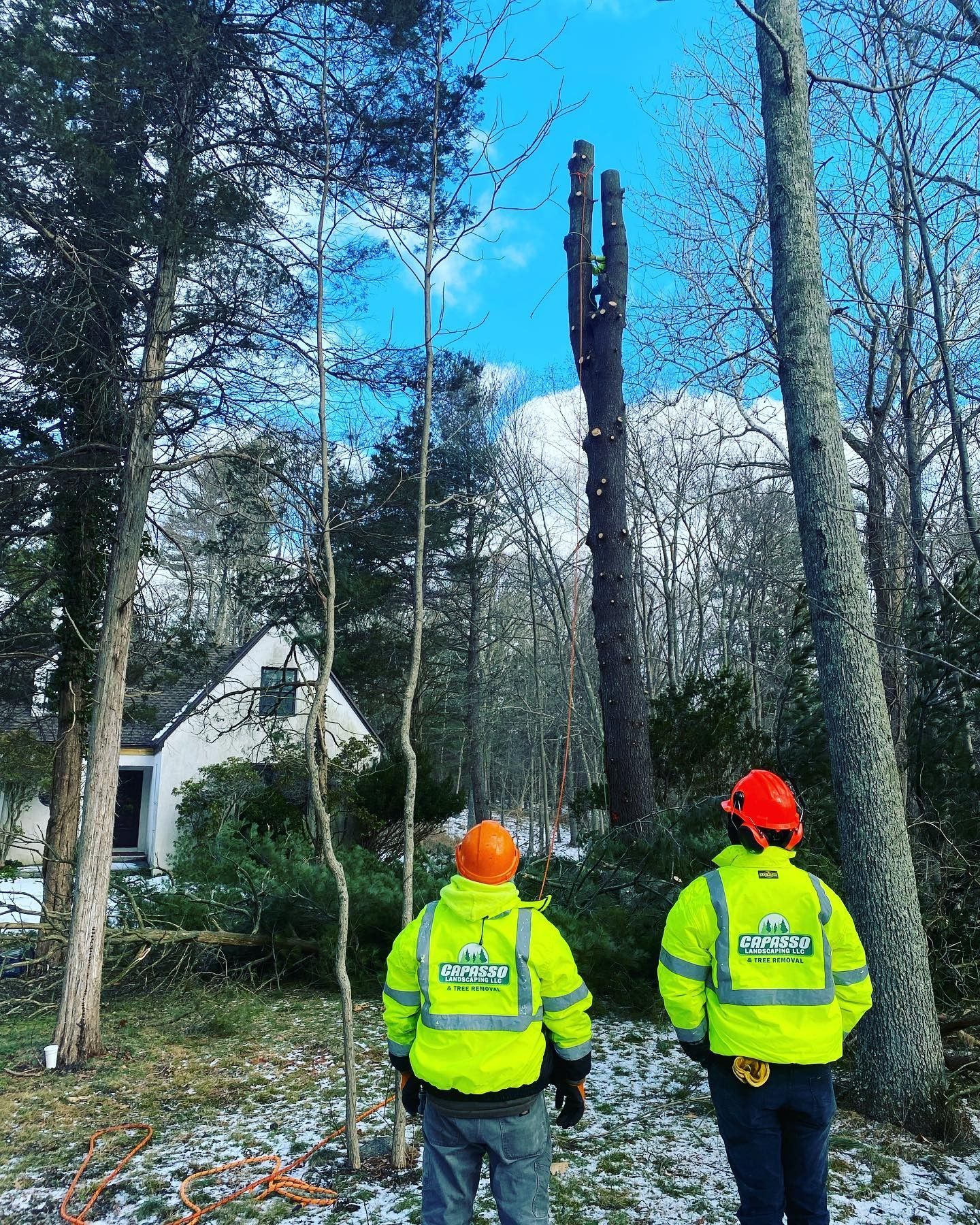 Two men in yellow vests and hard hats are standing next to a tree.