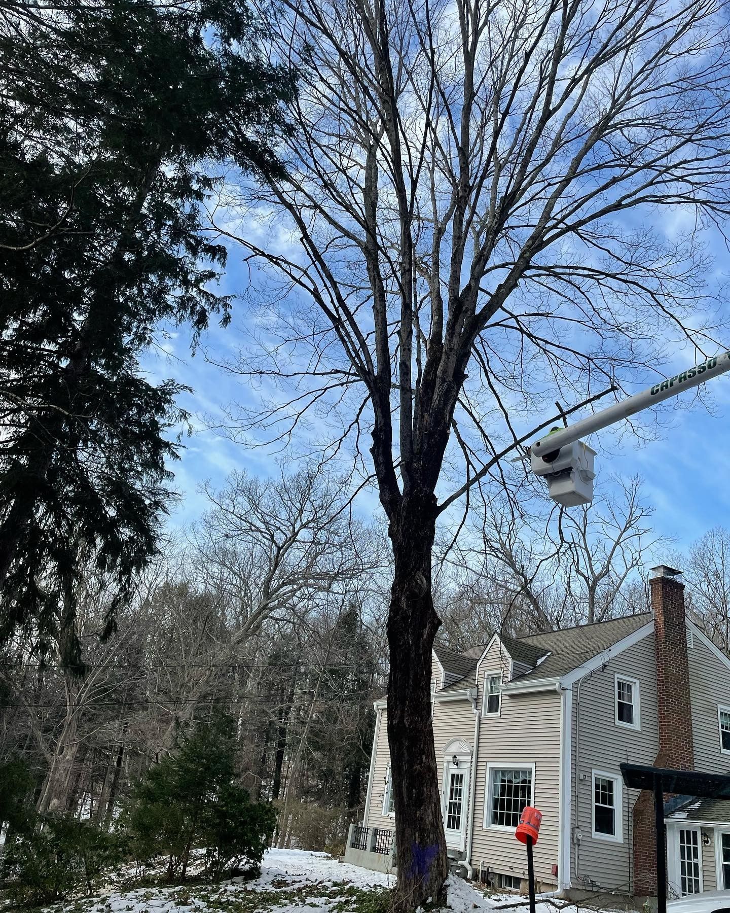 A tree is being cut down by a crane in front of a house.