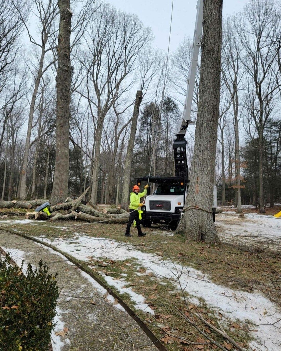 A man is standing next to a truck that is cutting a tree.