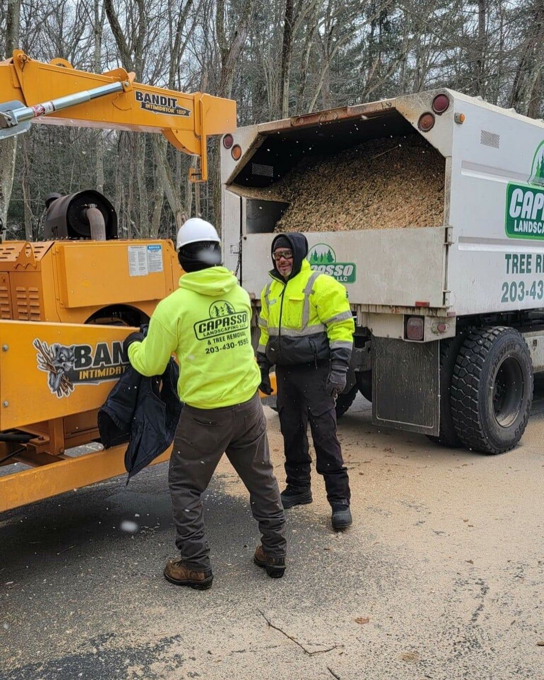 Two men are standing next to a truck filled with wood chips.