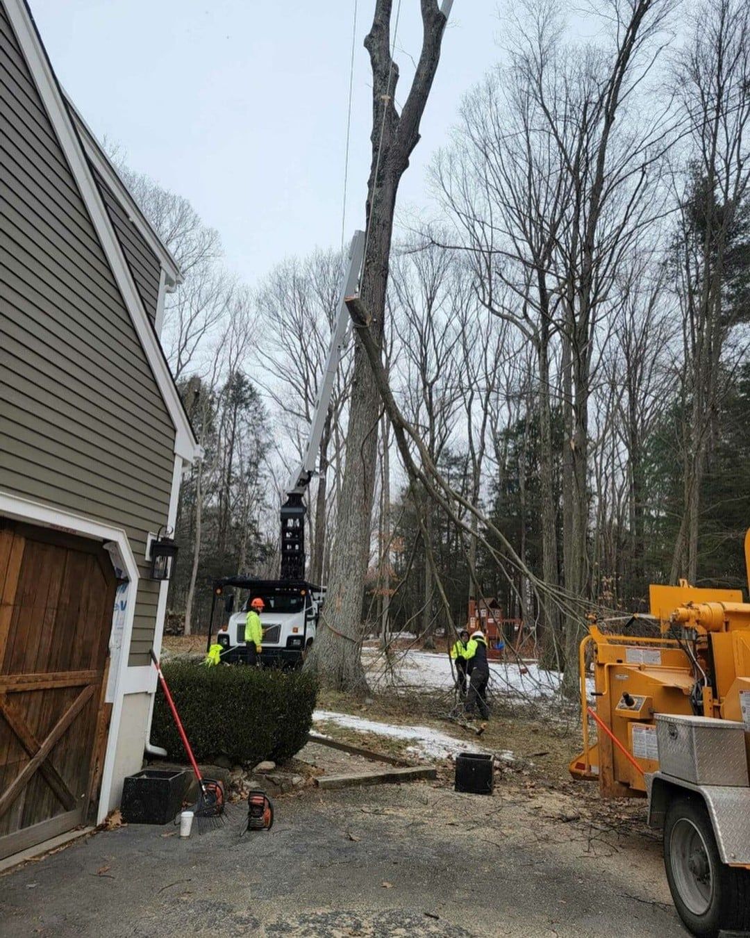 A tree is being cut down in front of a house.