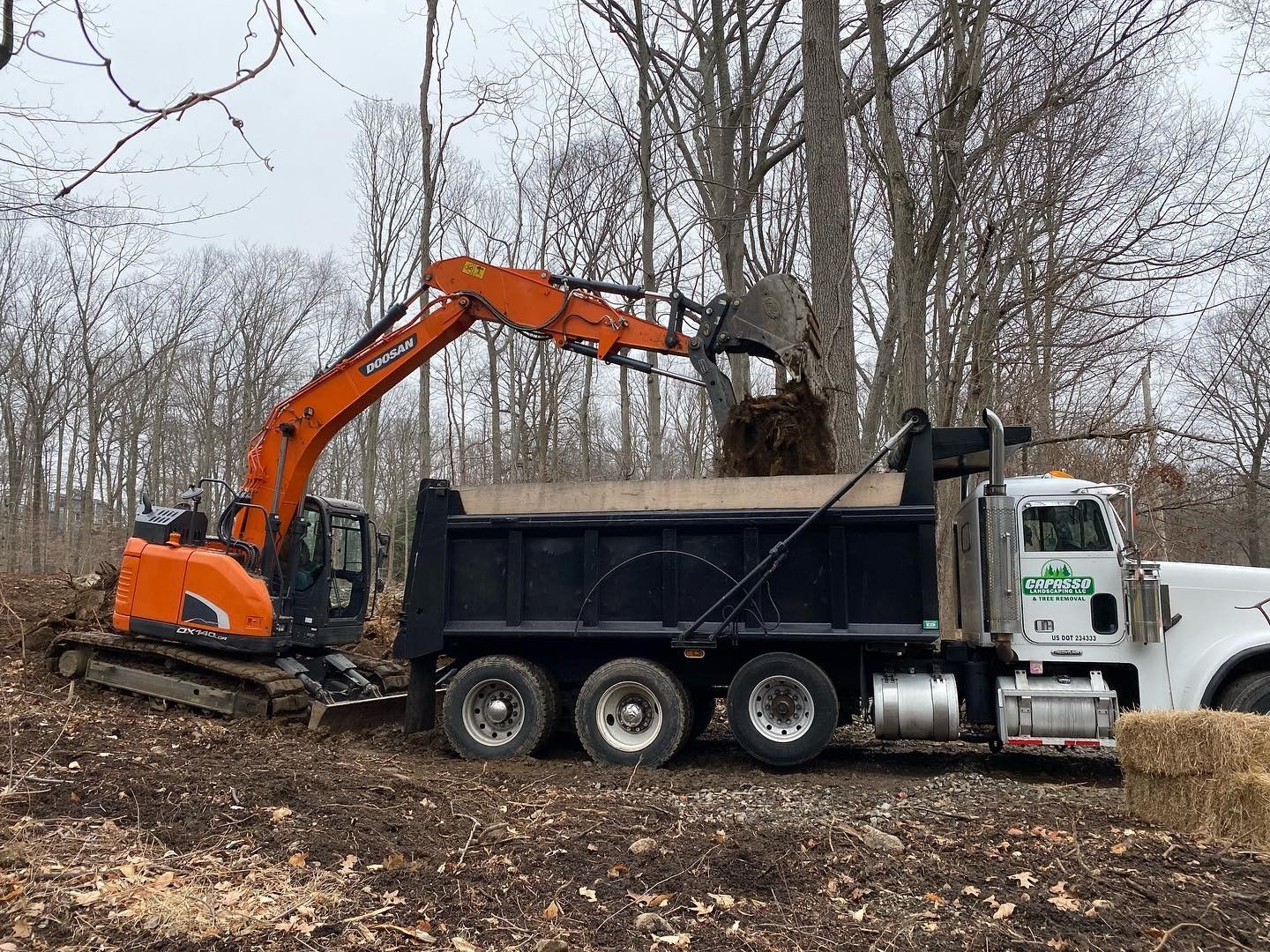 An excavator is loading dirt into a dump truck.