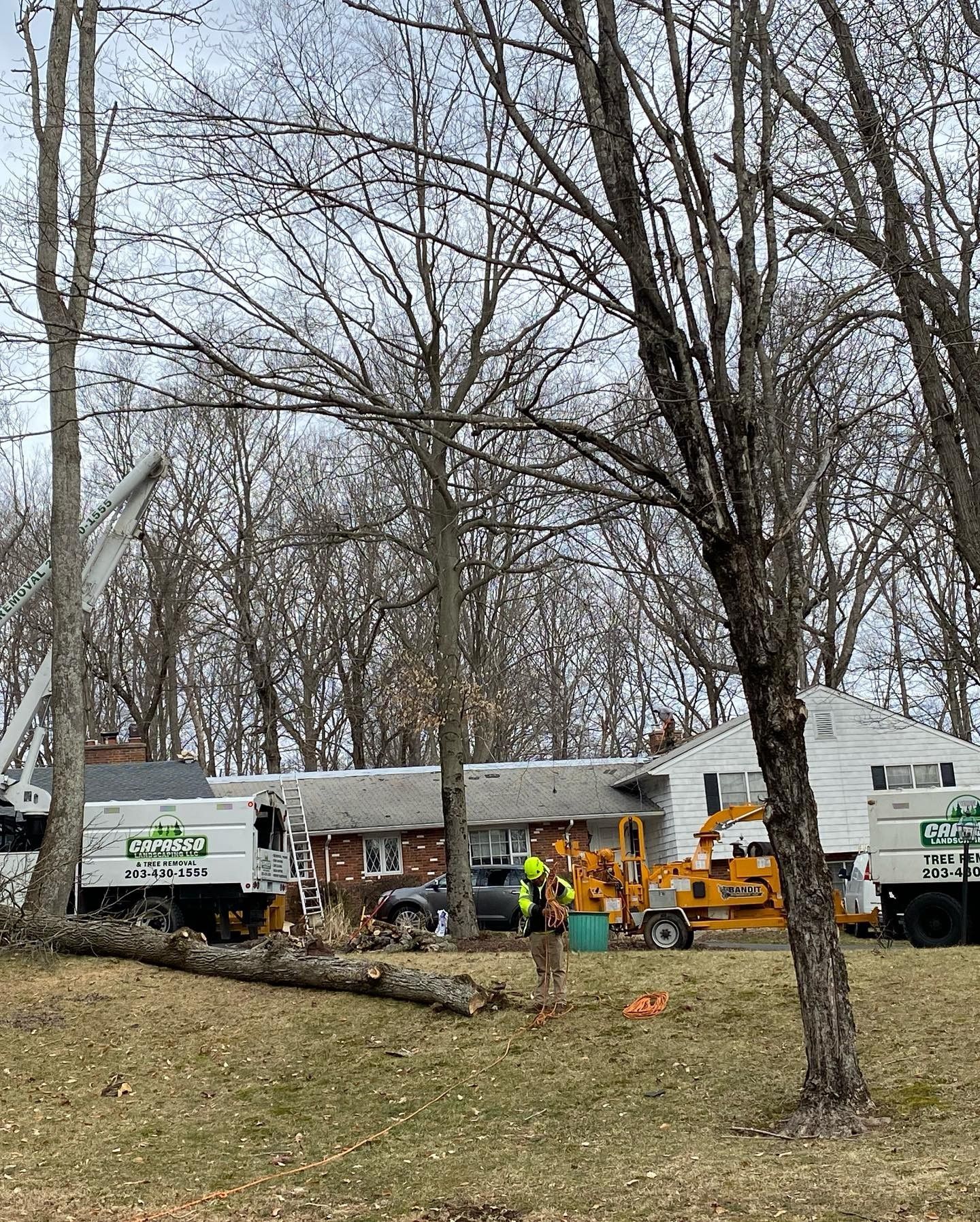 A tree is being cut down in front of a house.