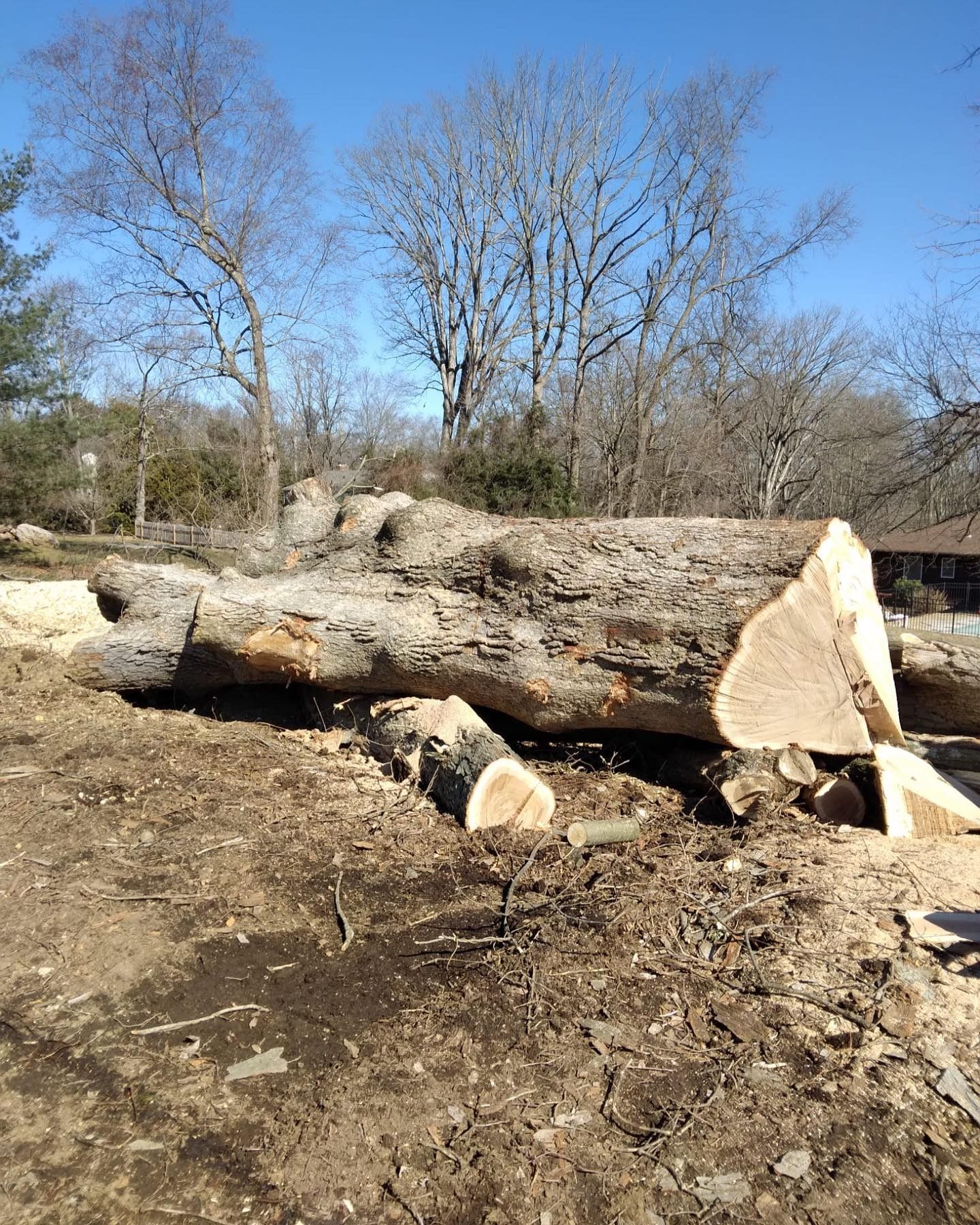 A large log is laying on the ground in a field.