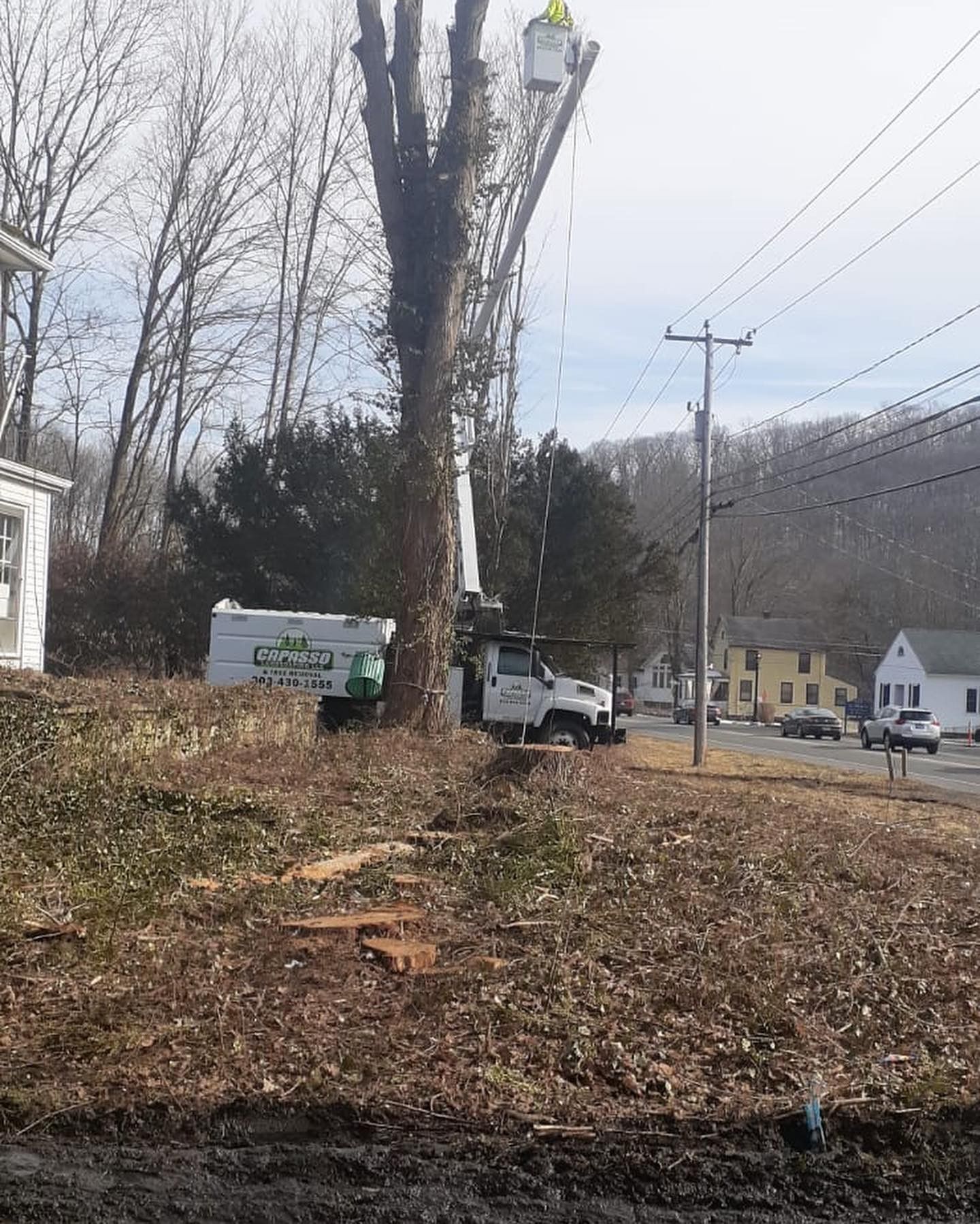 A tree is being cut down by a crane in a field.