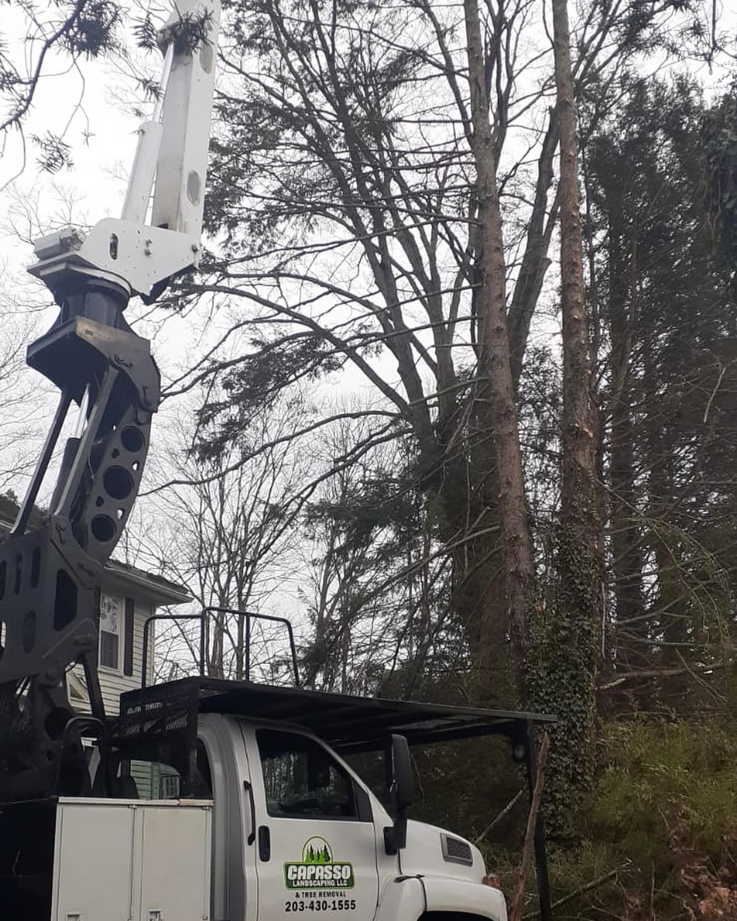 A white truck with a crane on top of it is cutting a tree.
