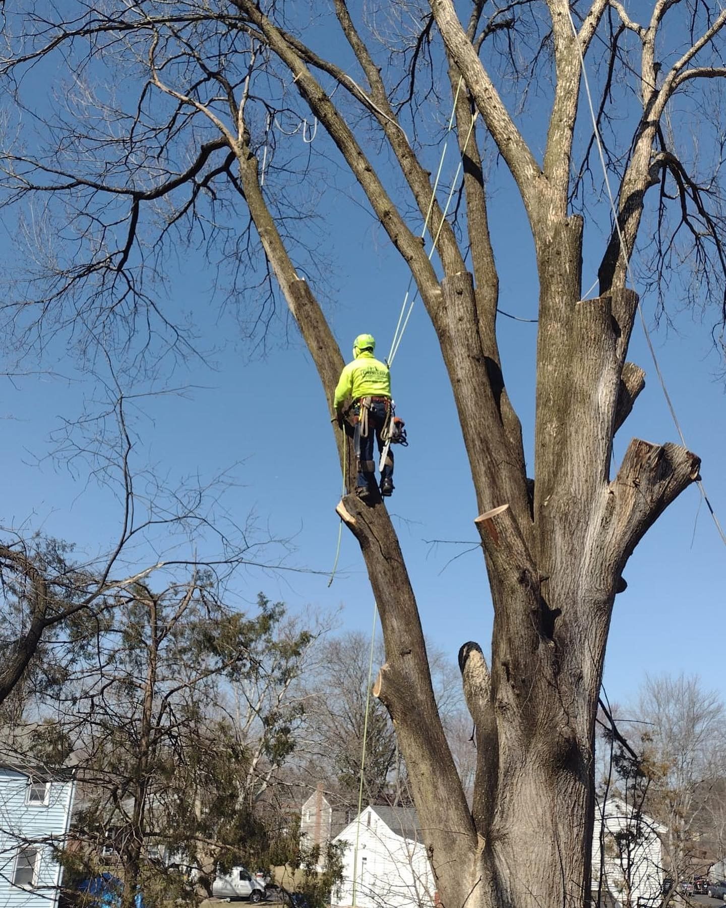 A man in a yellow jacket is climbing a tree