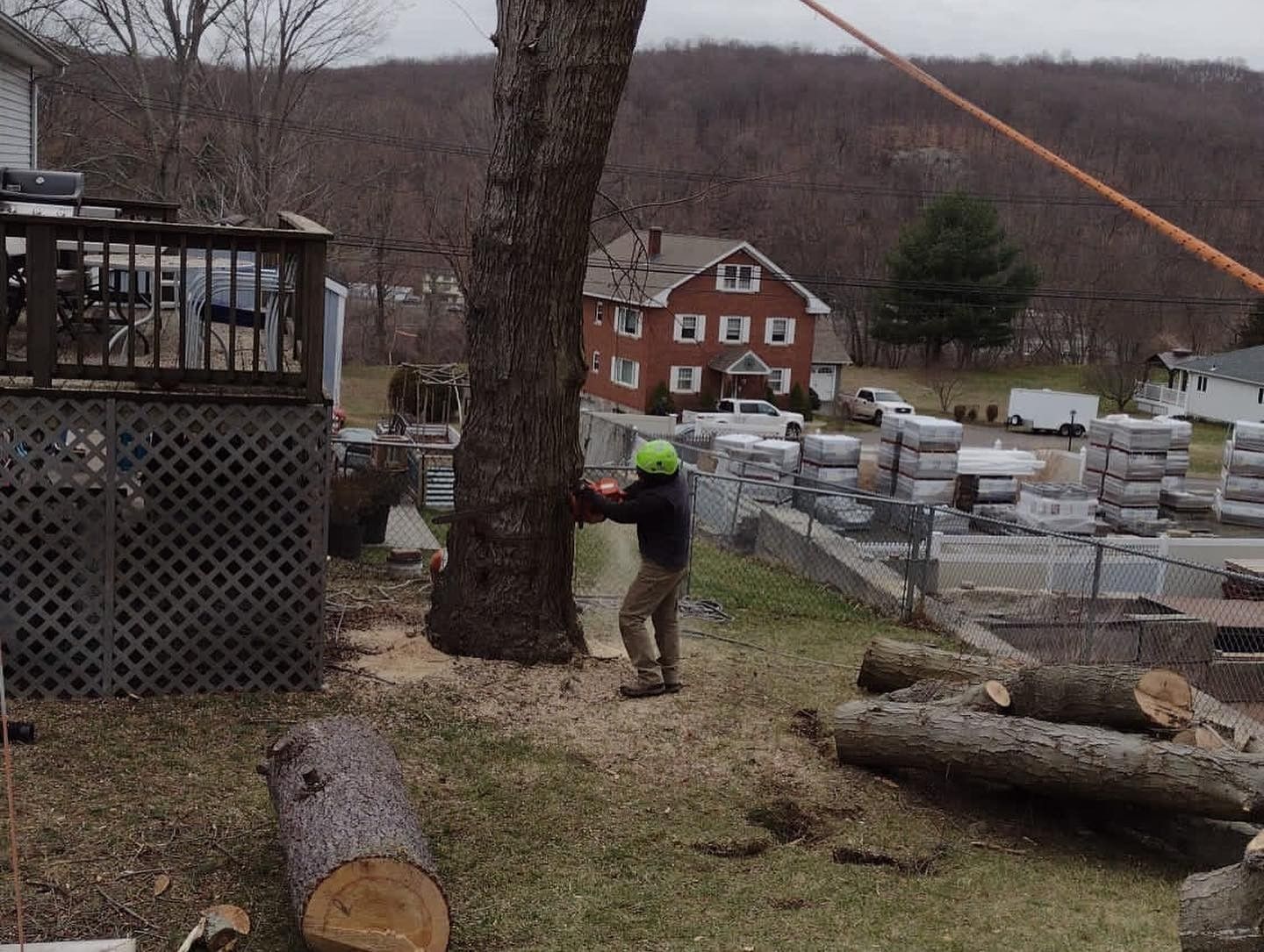 A man is cutting down a tree with a chainsaw.