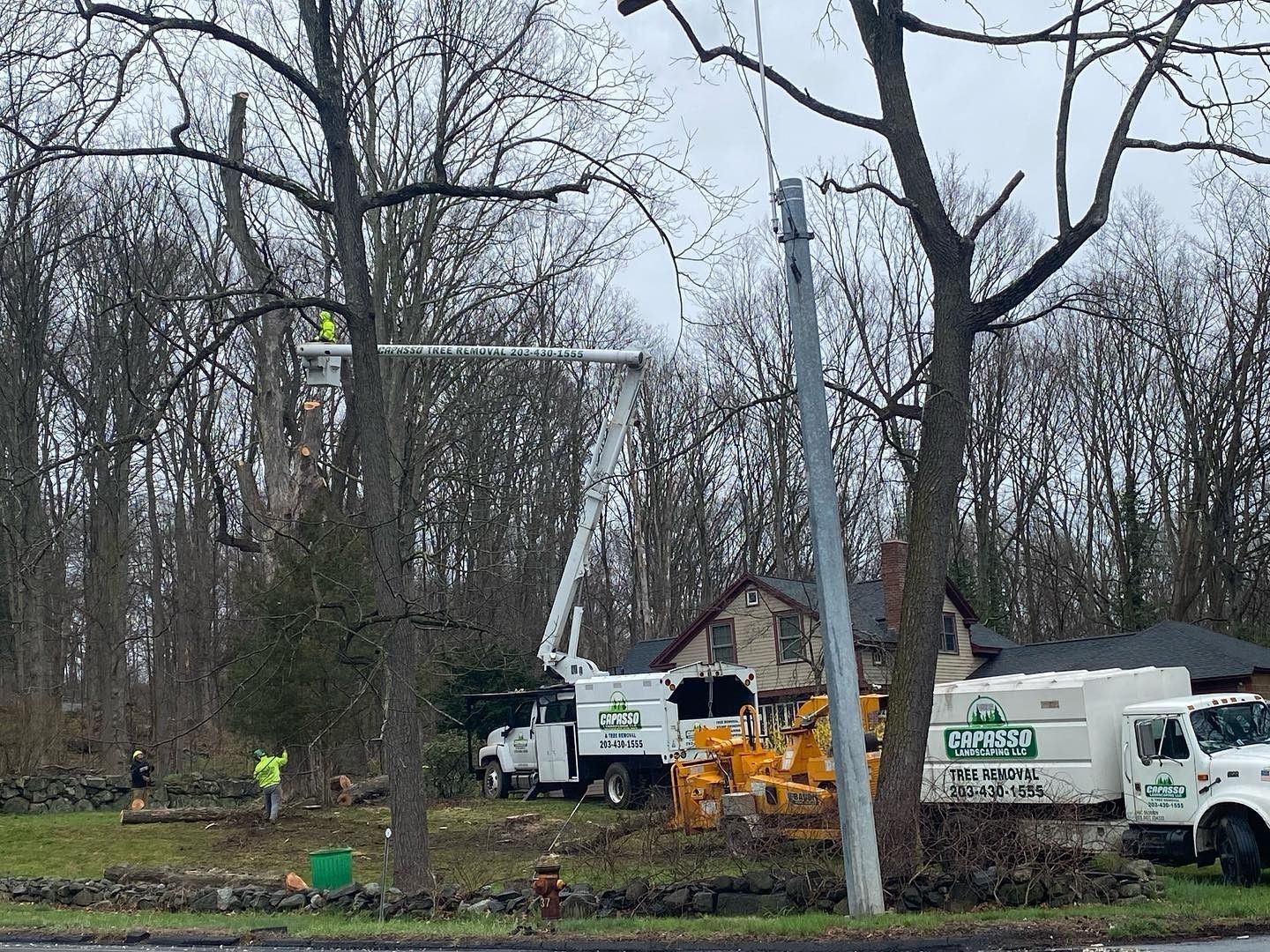 A man in a bucket is cutting a tree in a yard.