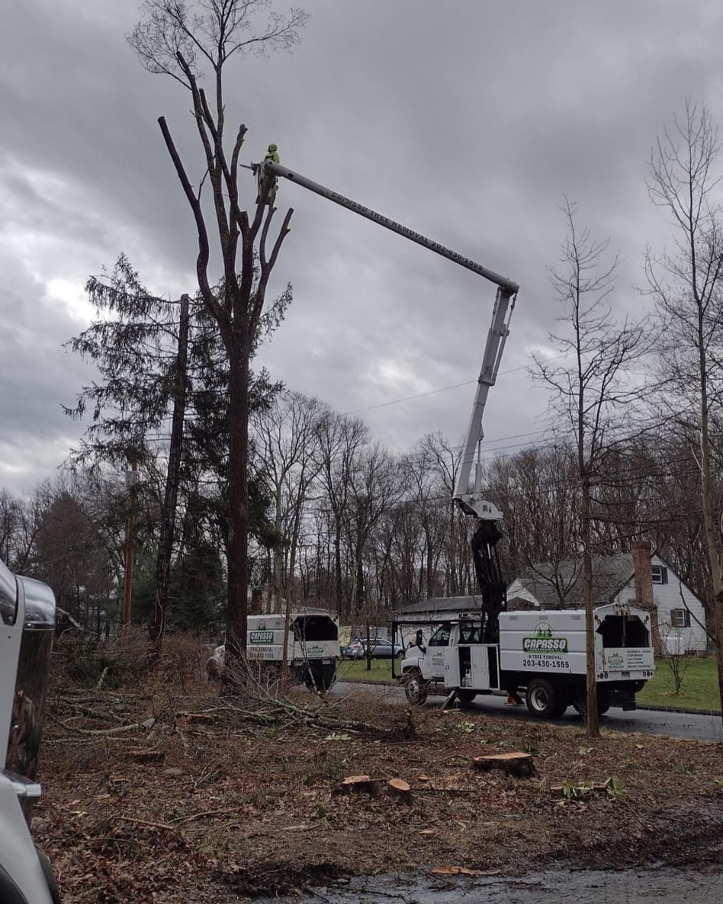 A man is cutting a tree with a crane attached to a truck.