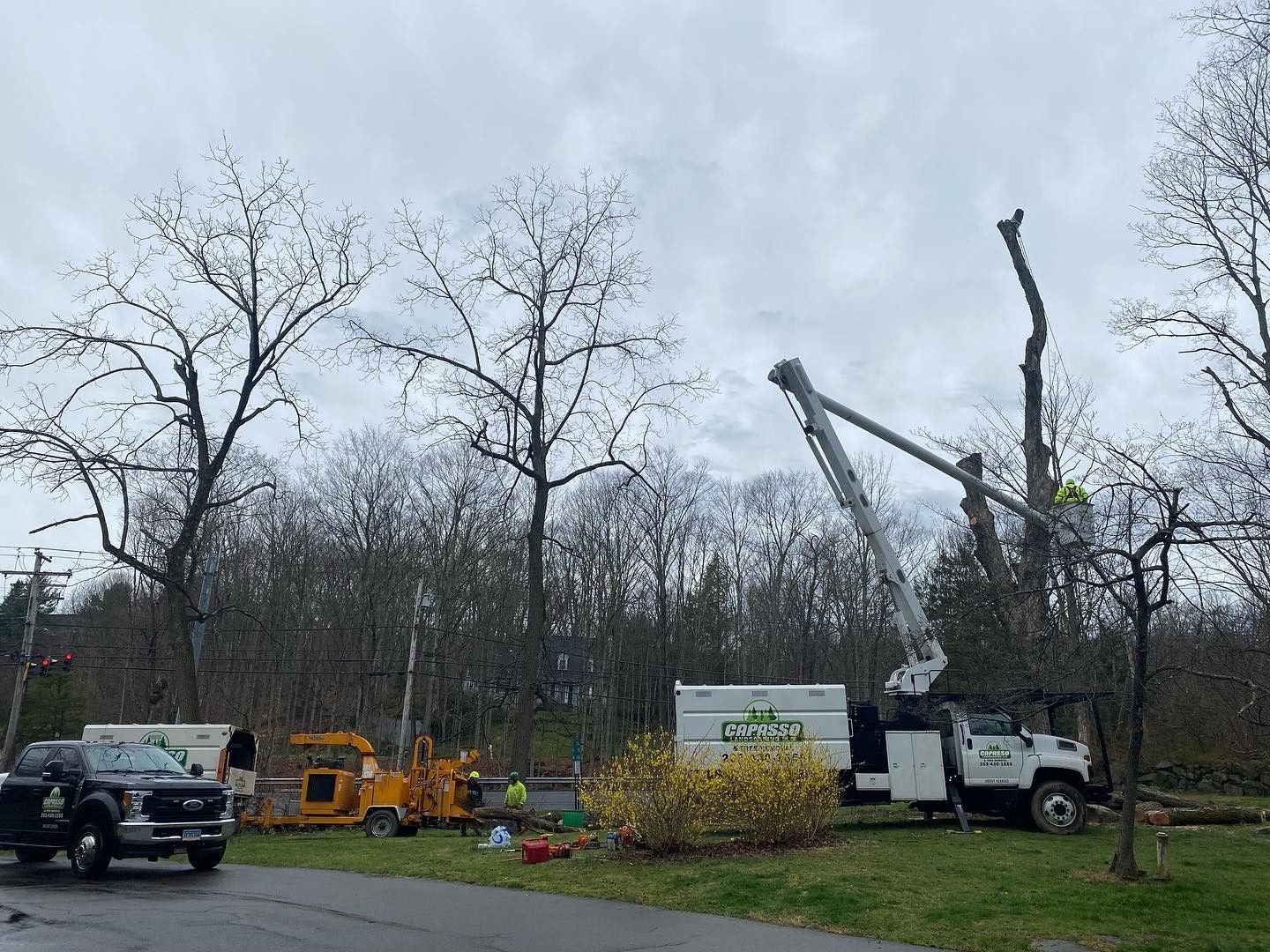A man is cutting a tree with a crane in a yard.
