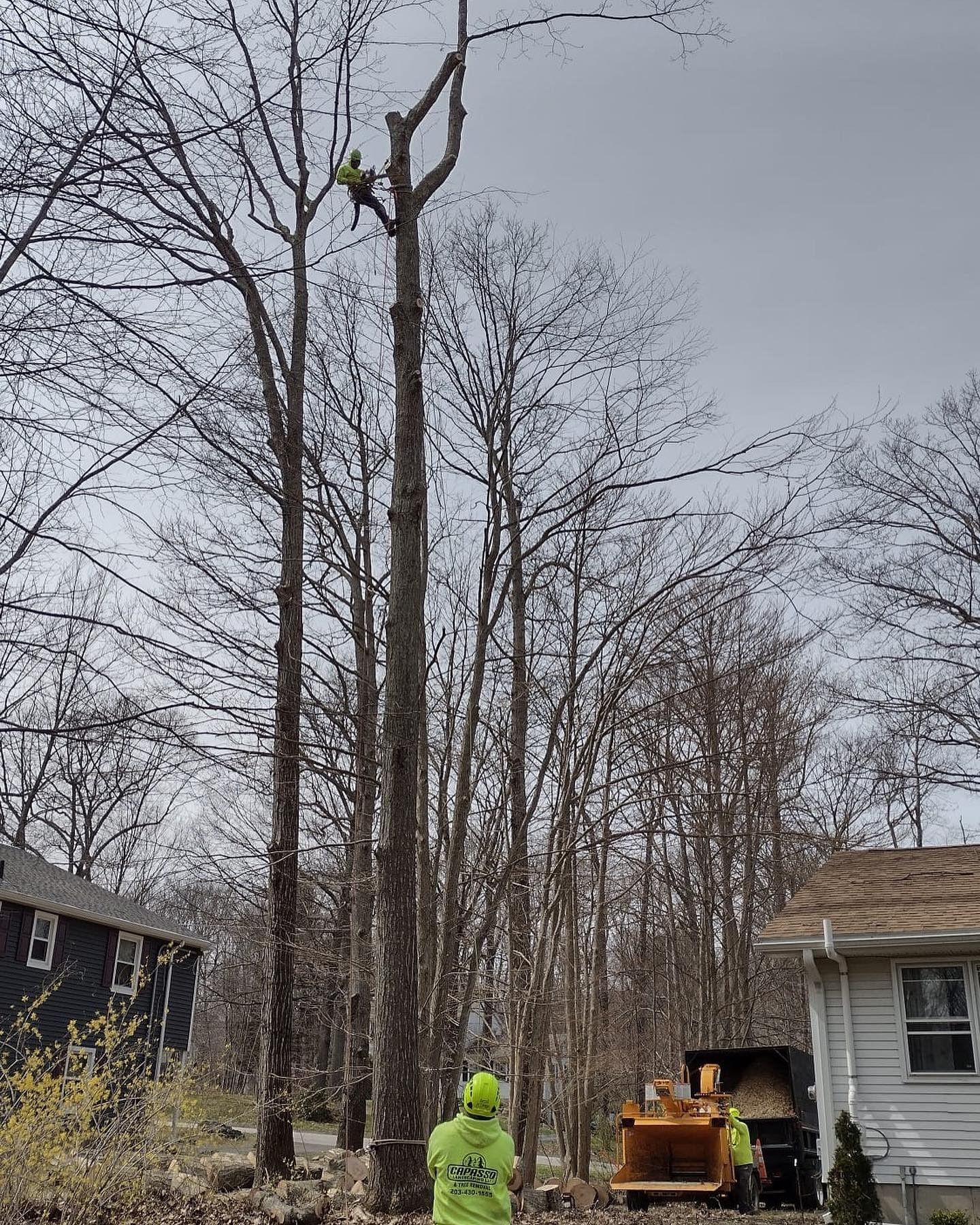 A man is standing in front of a house looking at a tree being cut down.