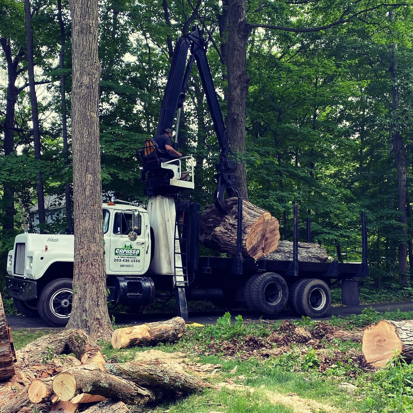A large log is being lifted by a crane onto the back of a truck.