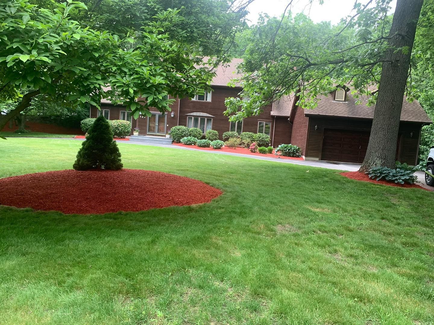 A lush green lawn with a tree in the middle of it in front of a house.