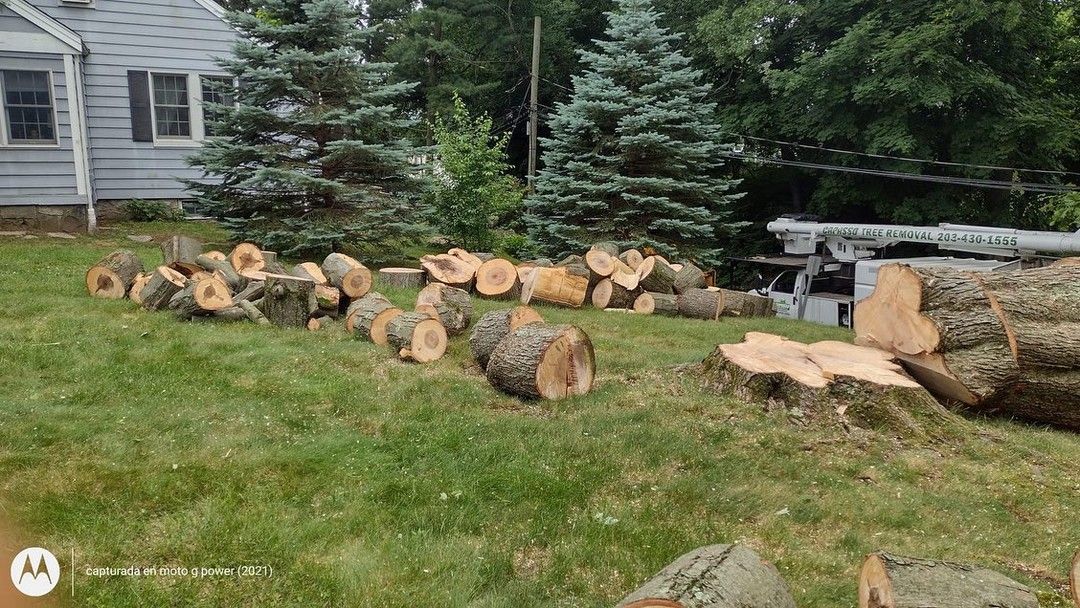 A pile of logs sitting on top of a lush green lawn in front of a house.