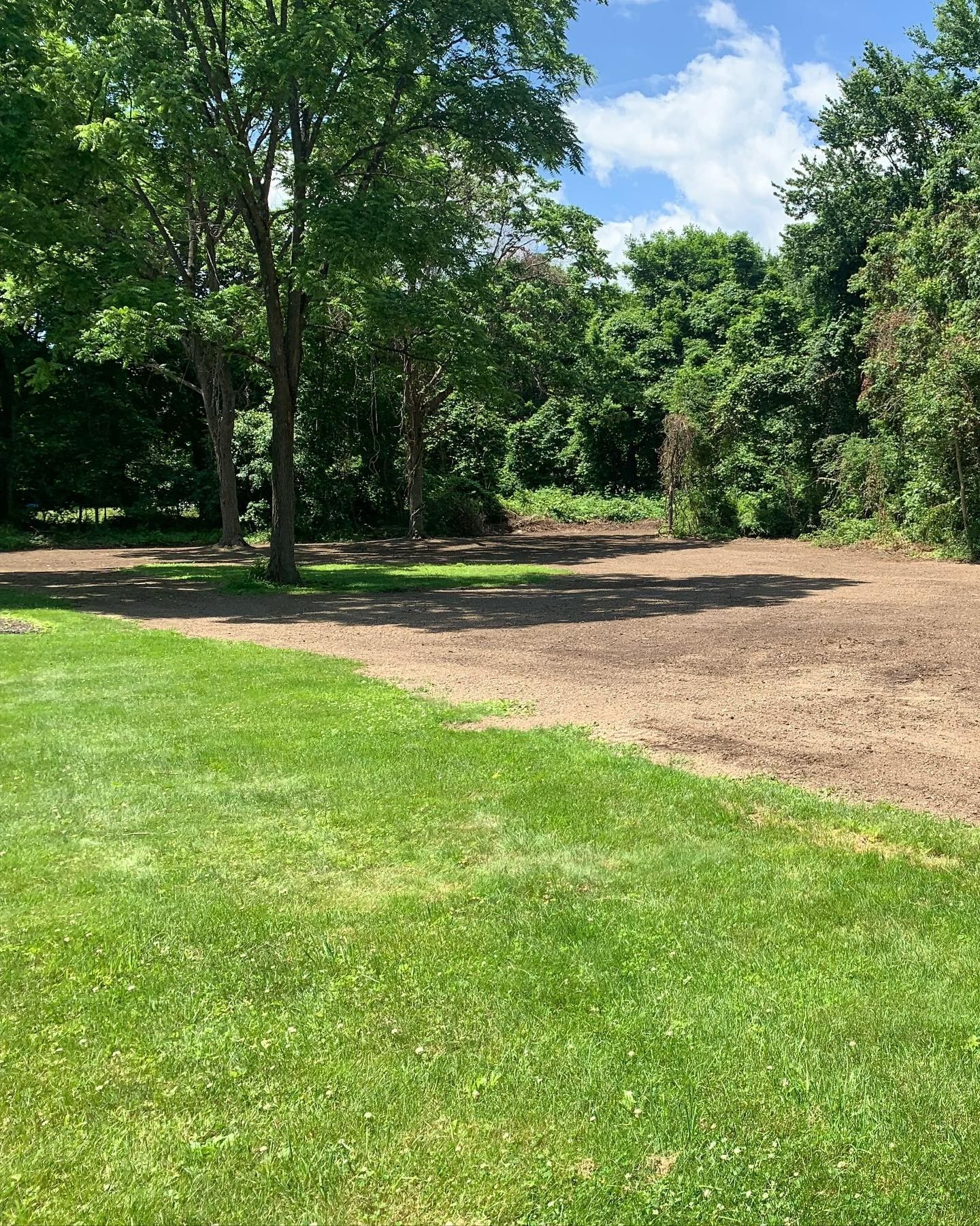 A lush green field with trees and dirt in the background.
