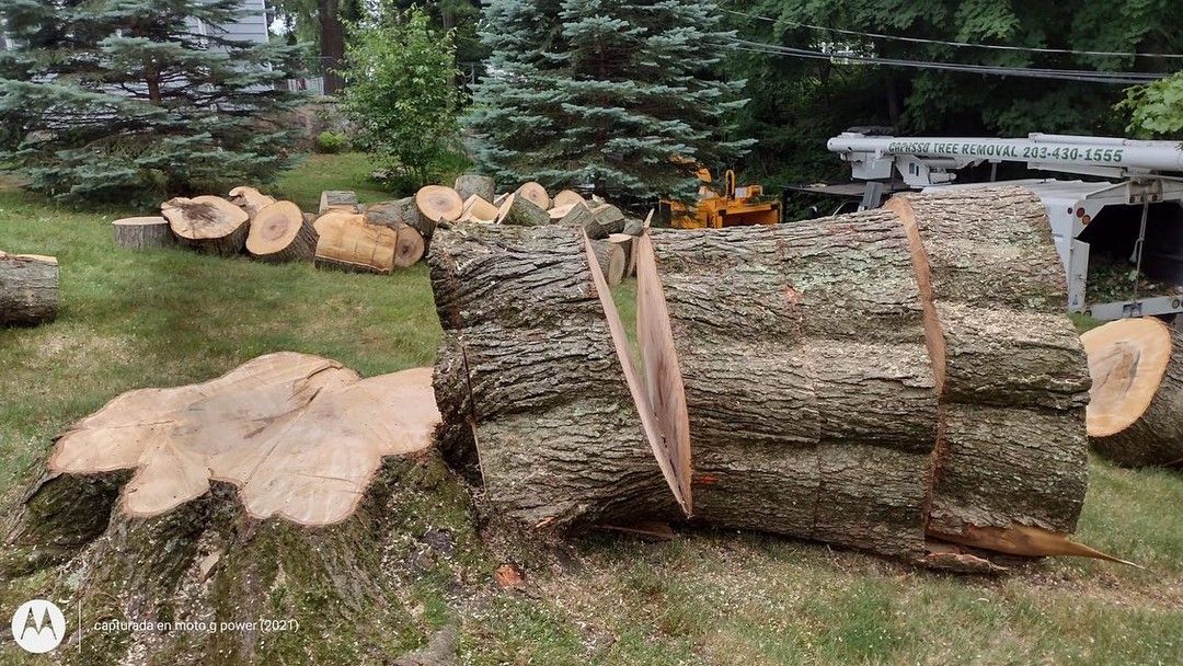 A pile of logs sitting on top of each other in a yard.