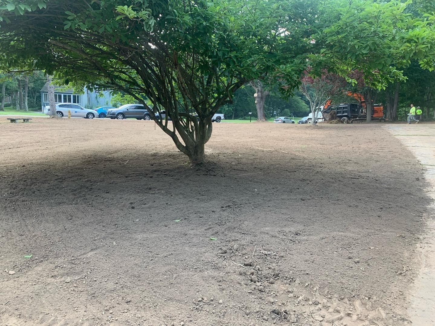 There is a tree in the middle of a dirt field.
