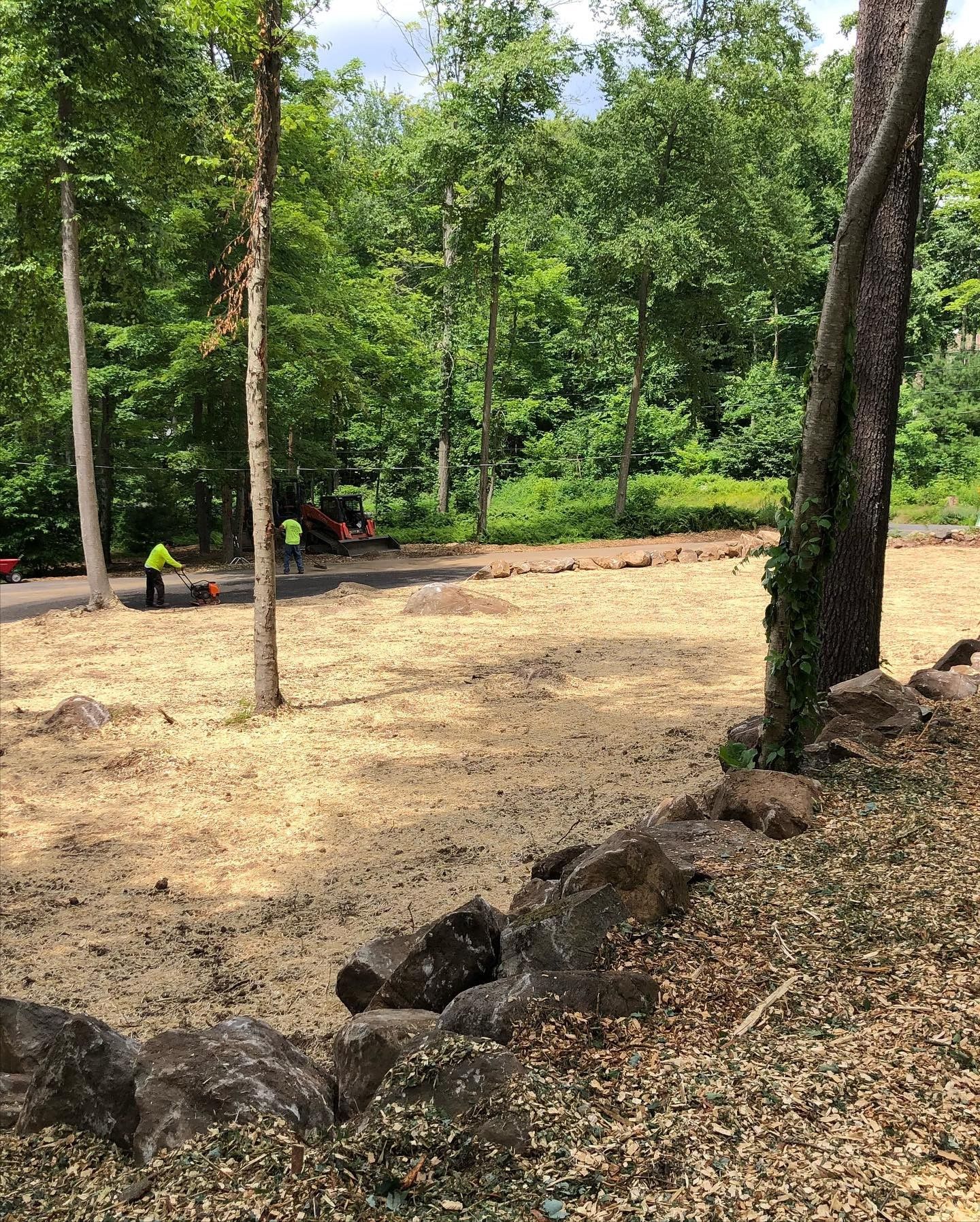A lot of dirt and rocks in the middle of a forest.