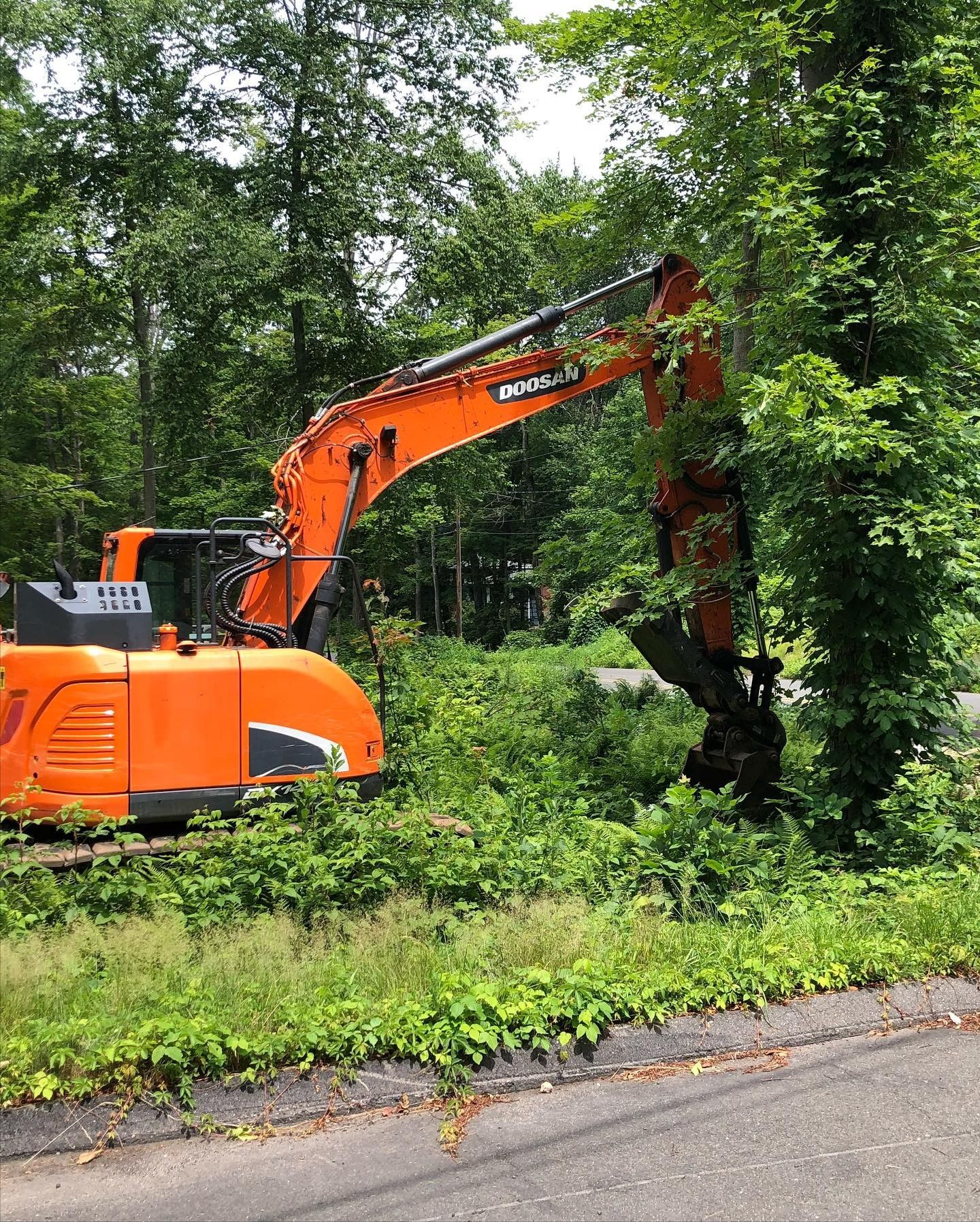 A large orange excavator is sitting in the woods.