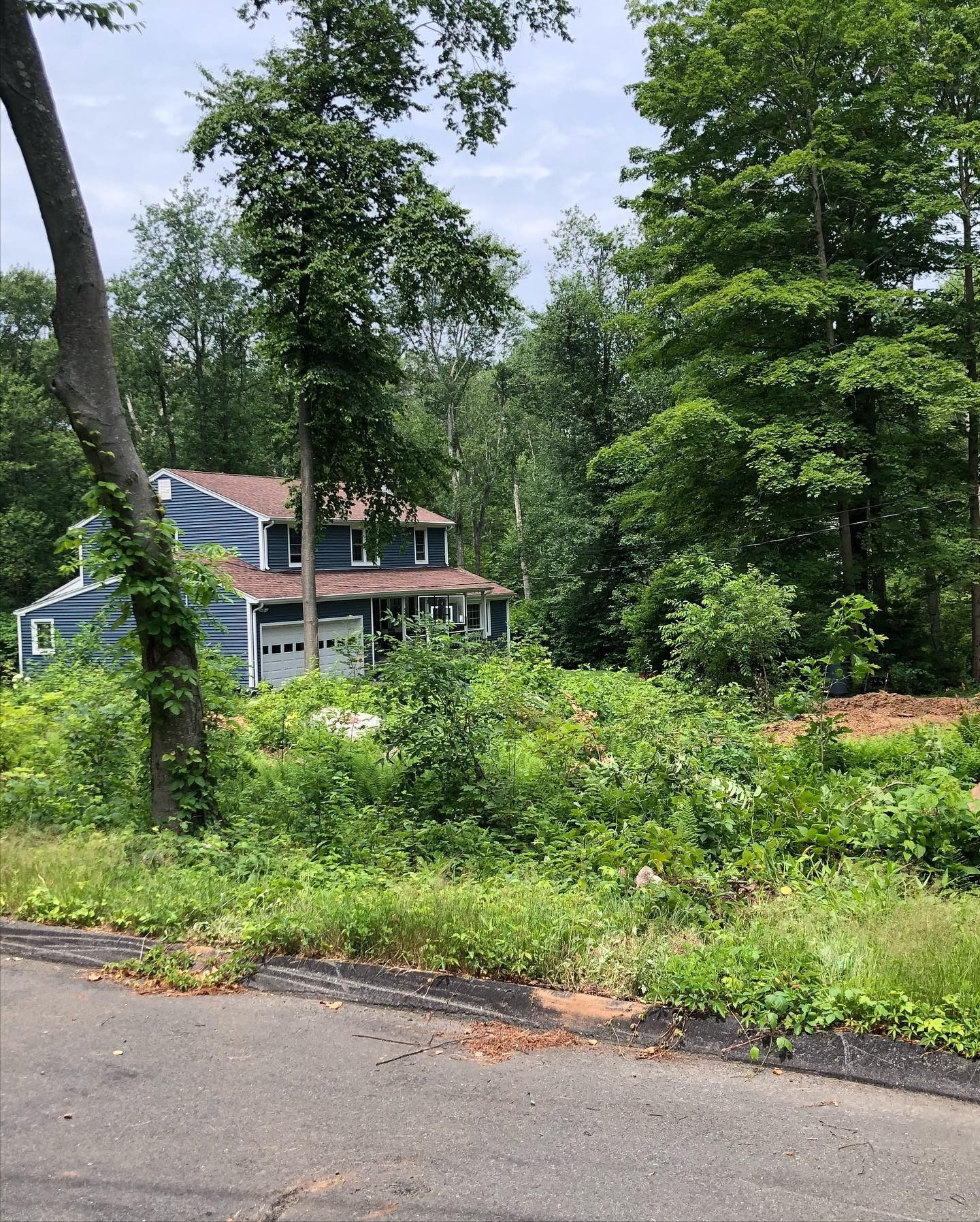 A house is sitting in the middle of a lush green field surrounded by trees.