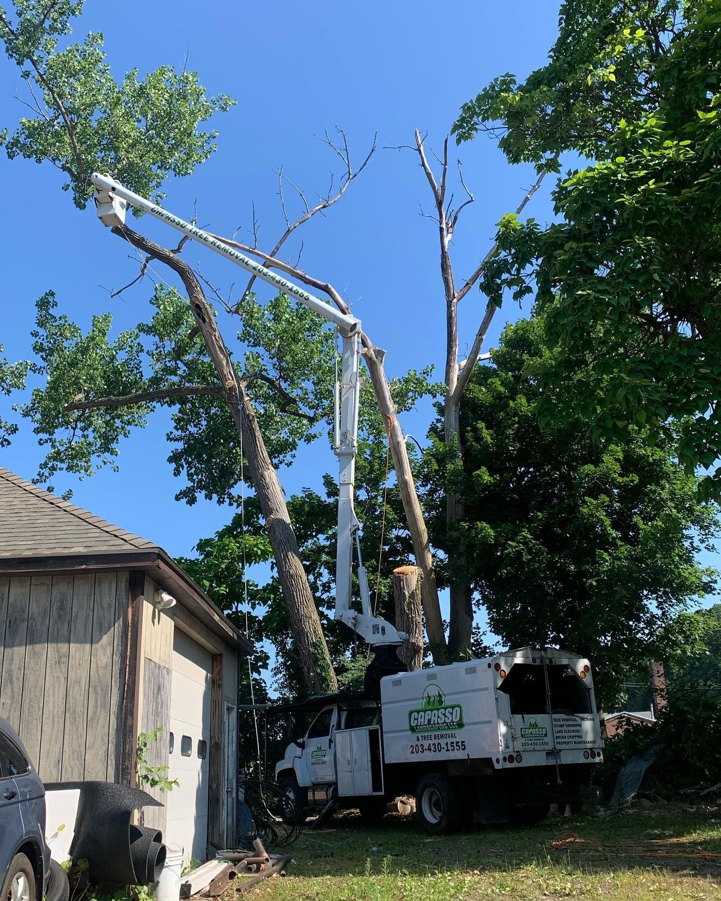 A white truck with a crane attached to it is cutting a tree.