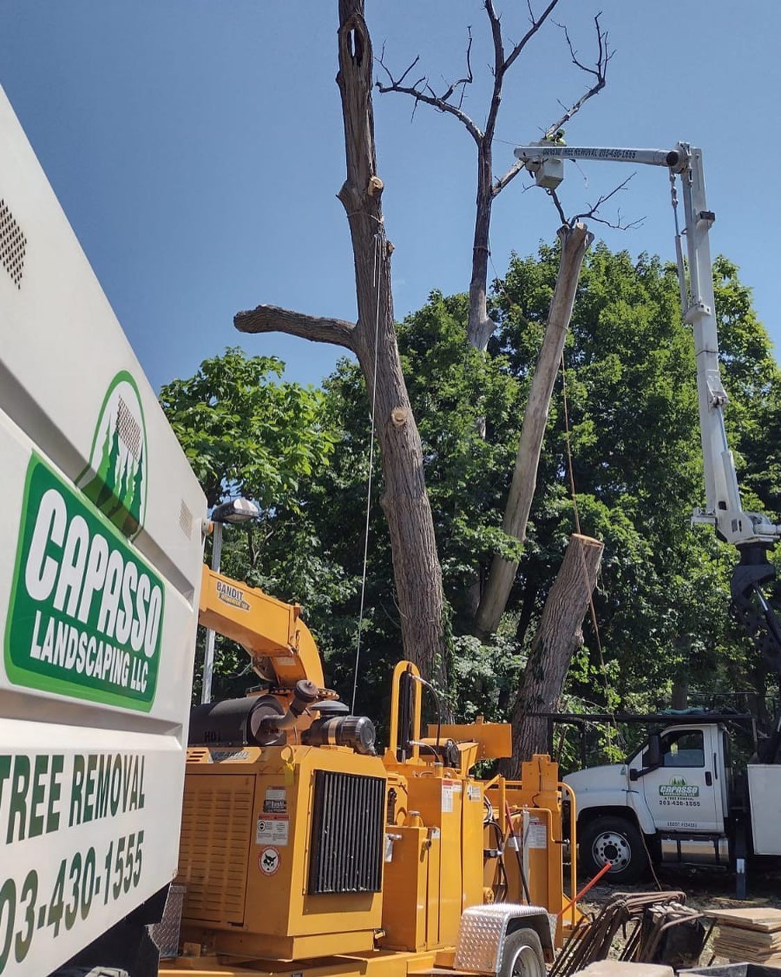 A tree is being removed from a tree removal truck