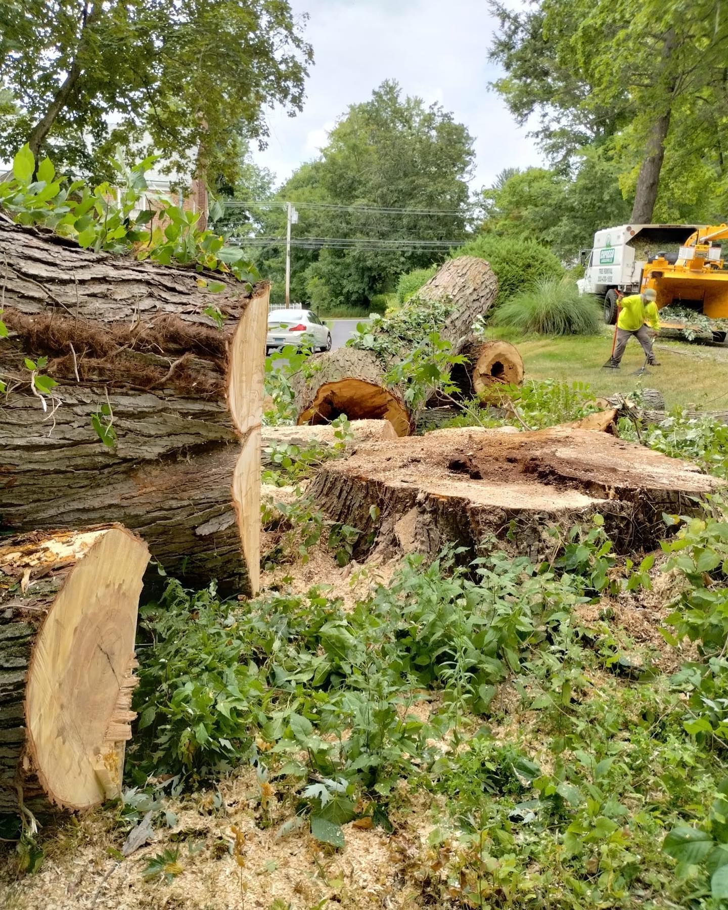 A pile of logs sitting on top of a tree stump.