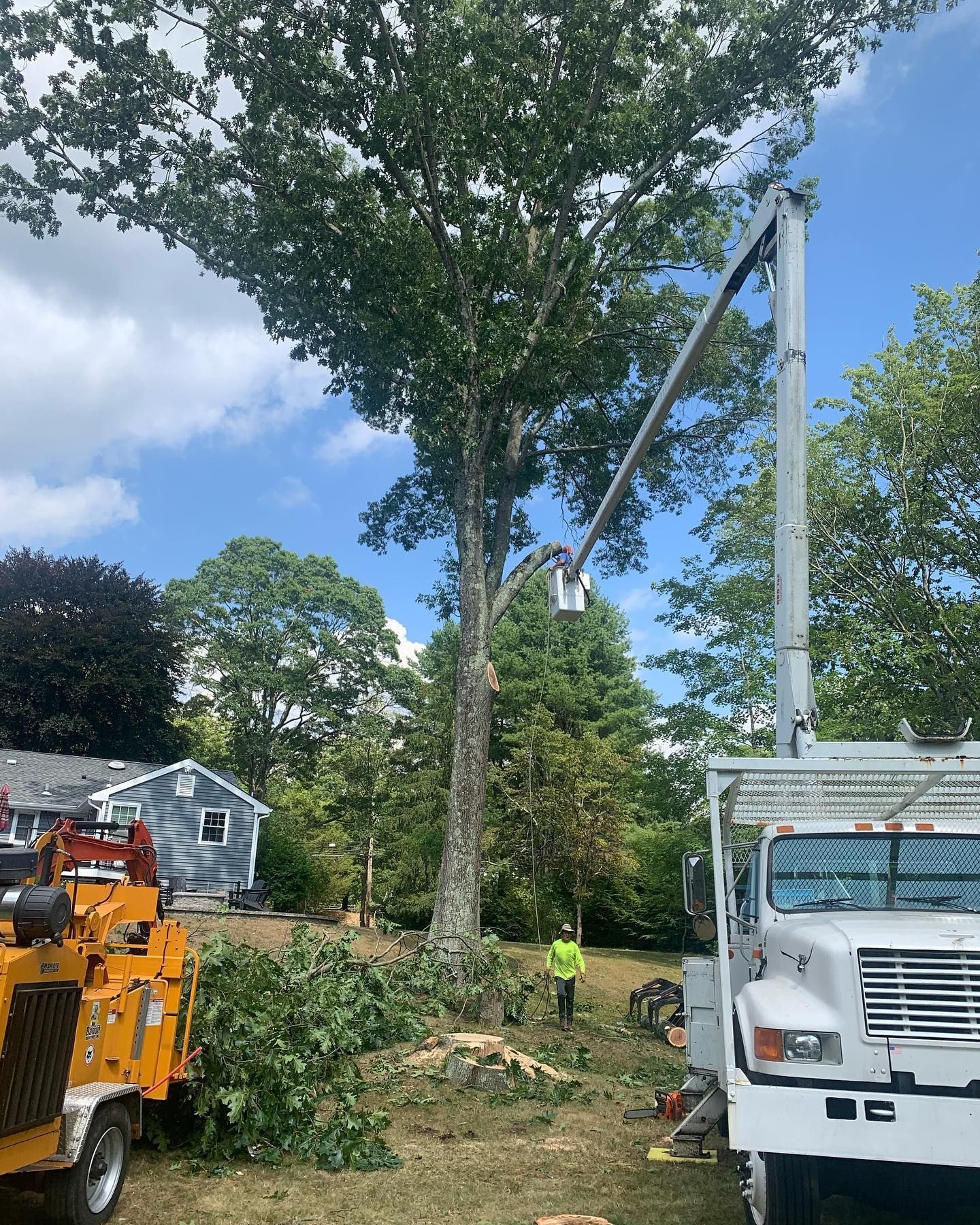 A tree being cut down by a truck with a crane attached to it.
