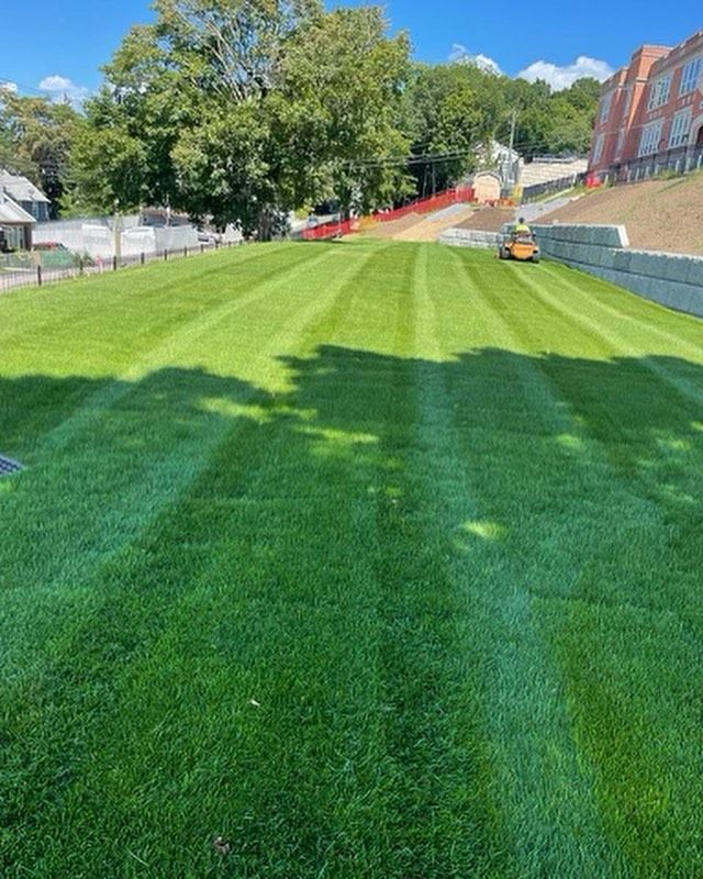 A garden on the roof of a building with lots of plants and flowers.