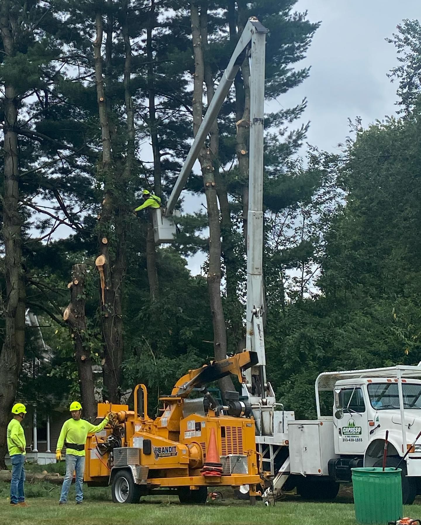 A tree stump is being removed from a tree by a crane