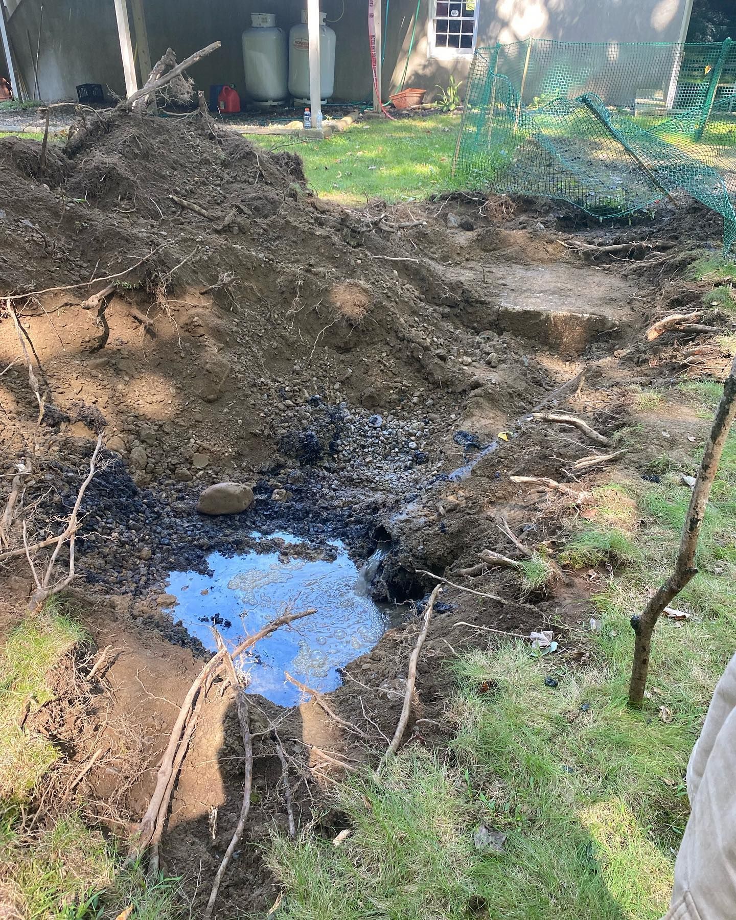 There is a puddle of water in the middle of the dirt.