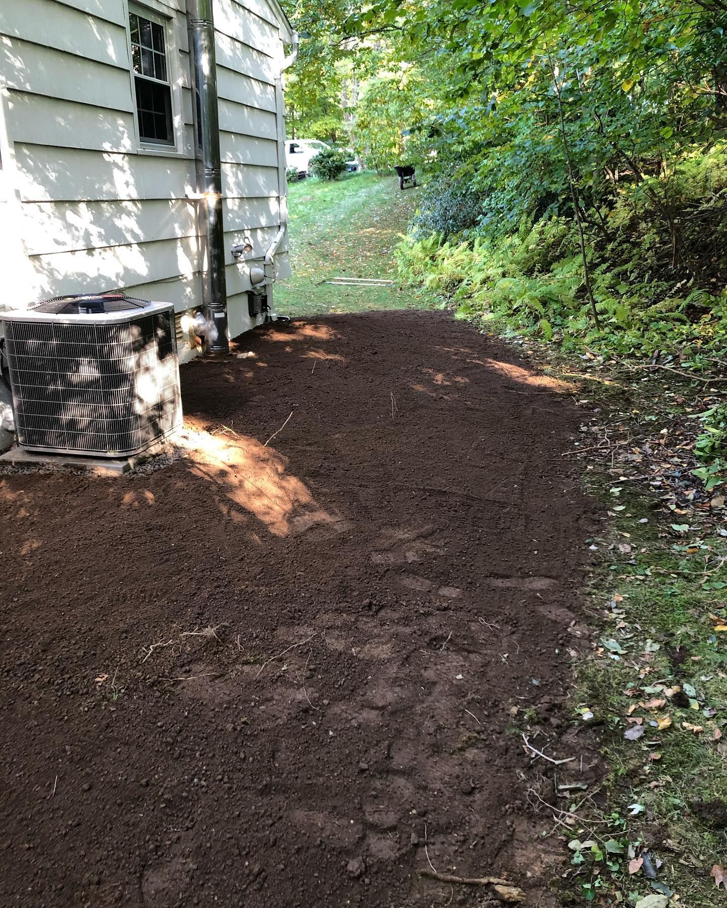 A dirt path leading to a house in the woods.