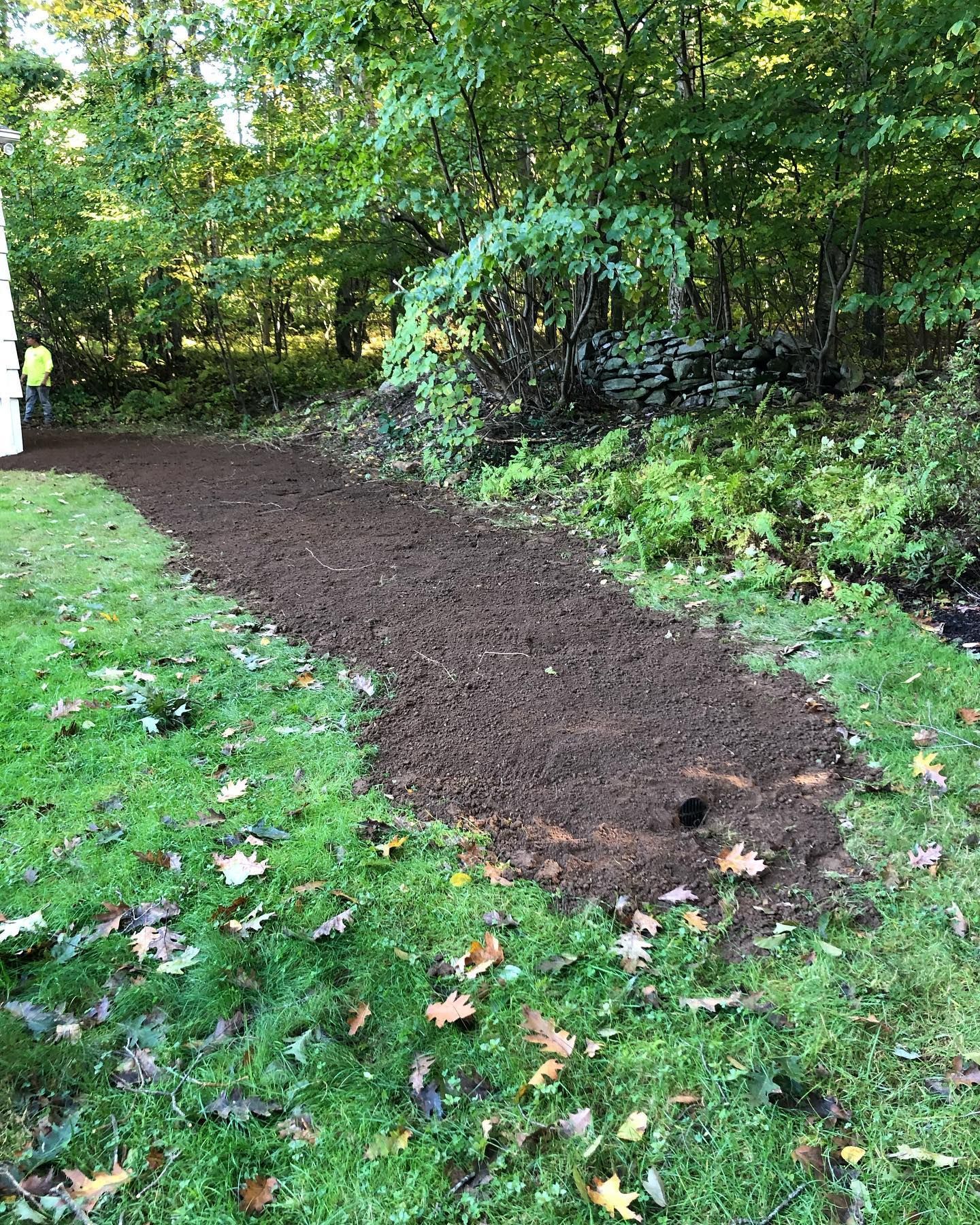 A dirt path going through a lush green field.