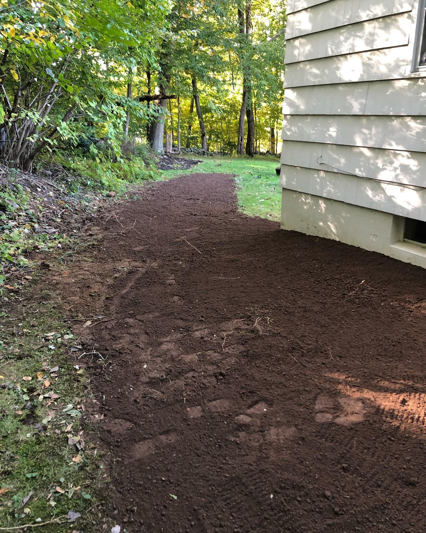 A dirt path leading to a house with trees in the background.