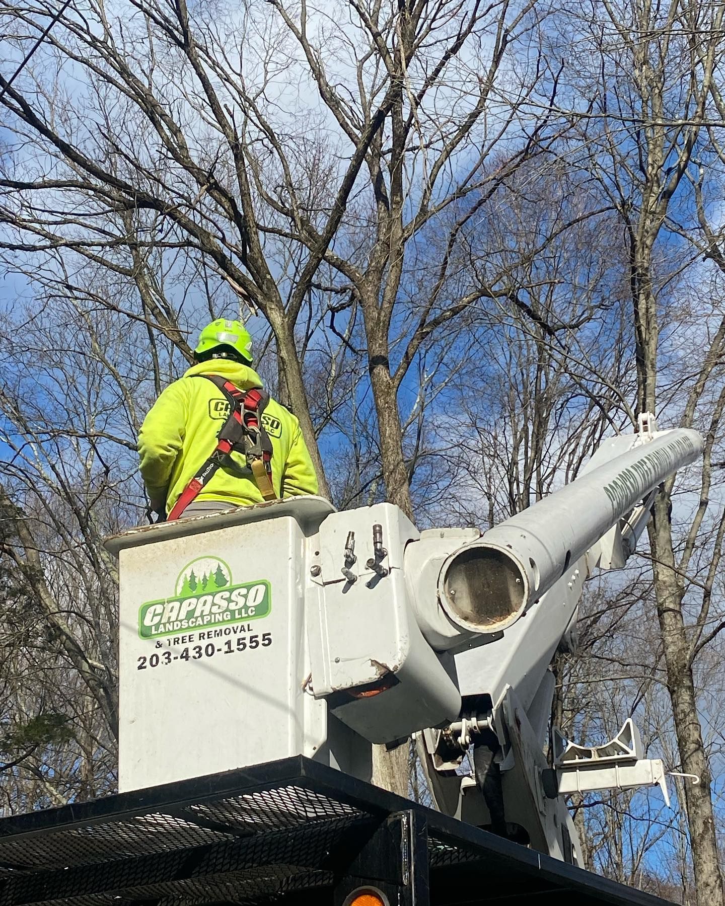 A man is sitting on top of a bucket truck cutting a tree.