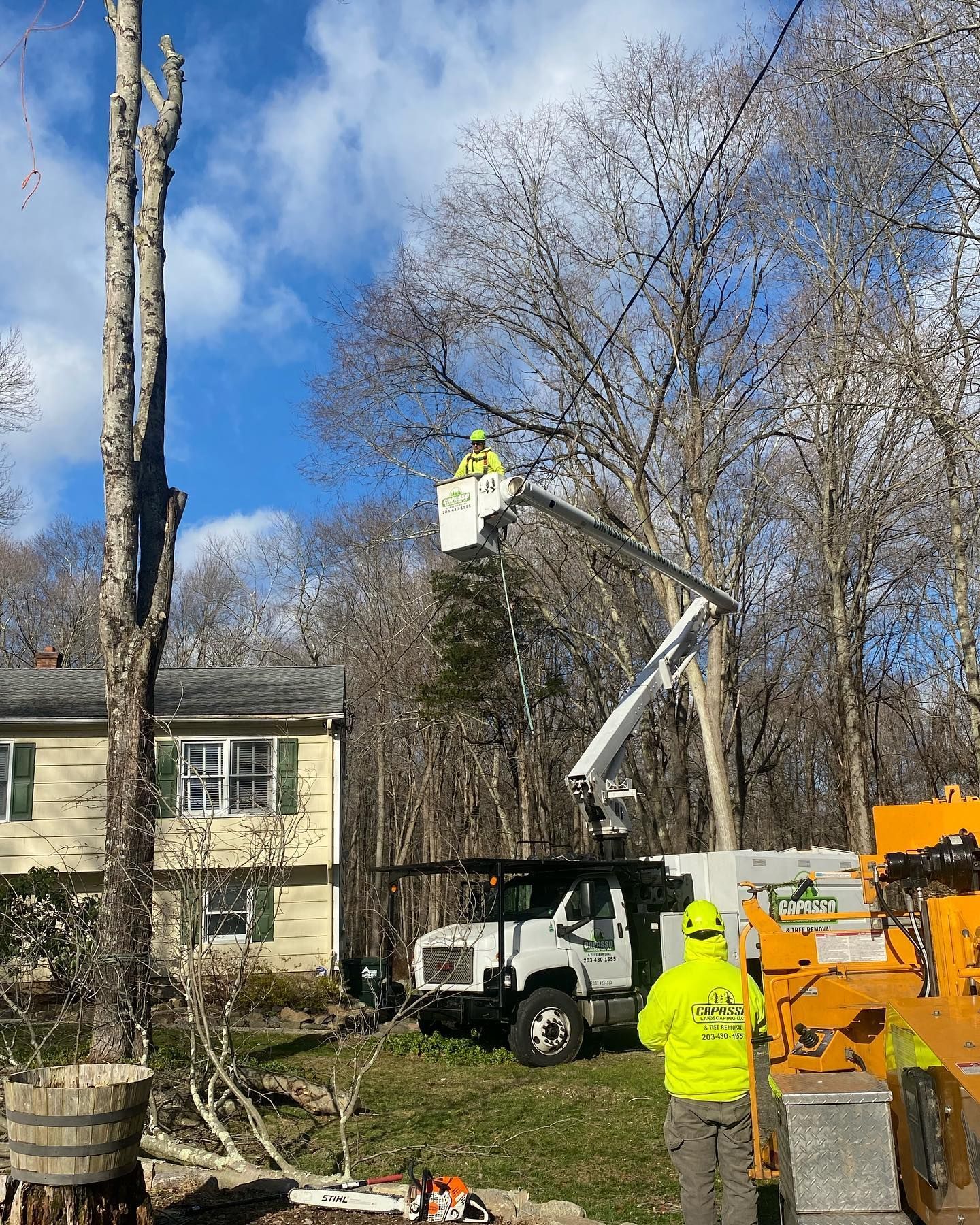 A man in a bucket truck is cutting a tree.
